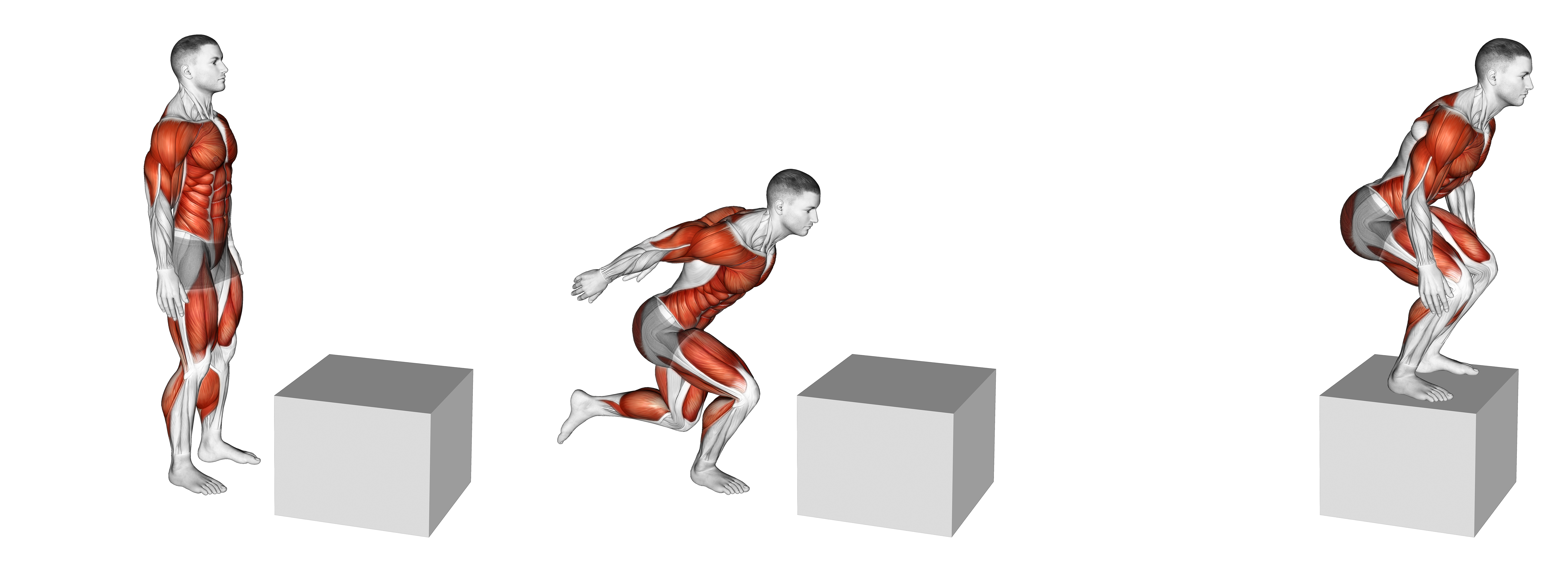 1 To 2 Jump Box