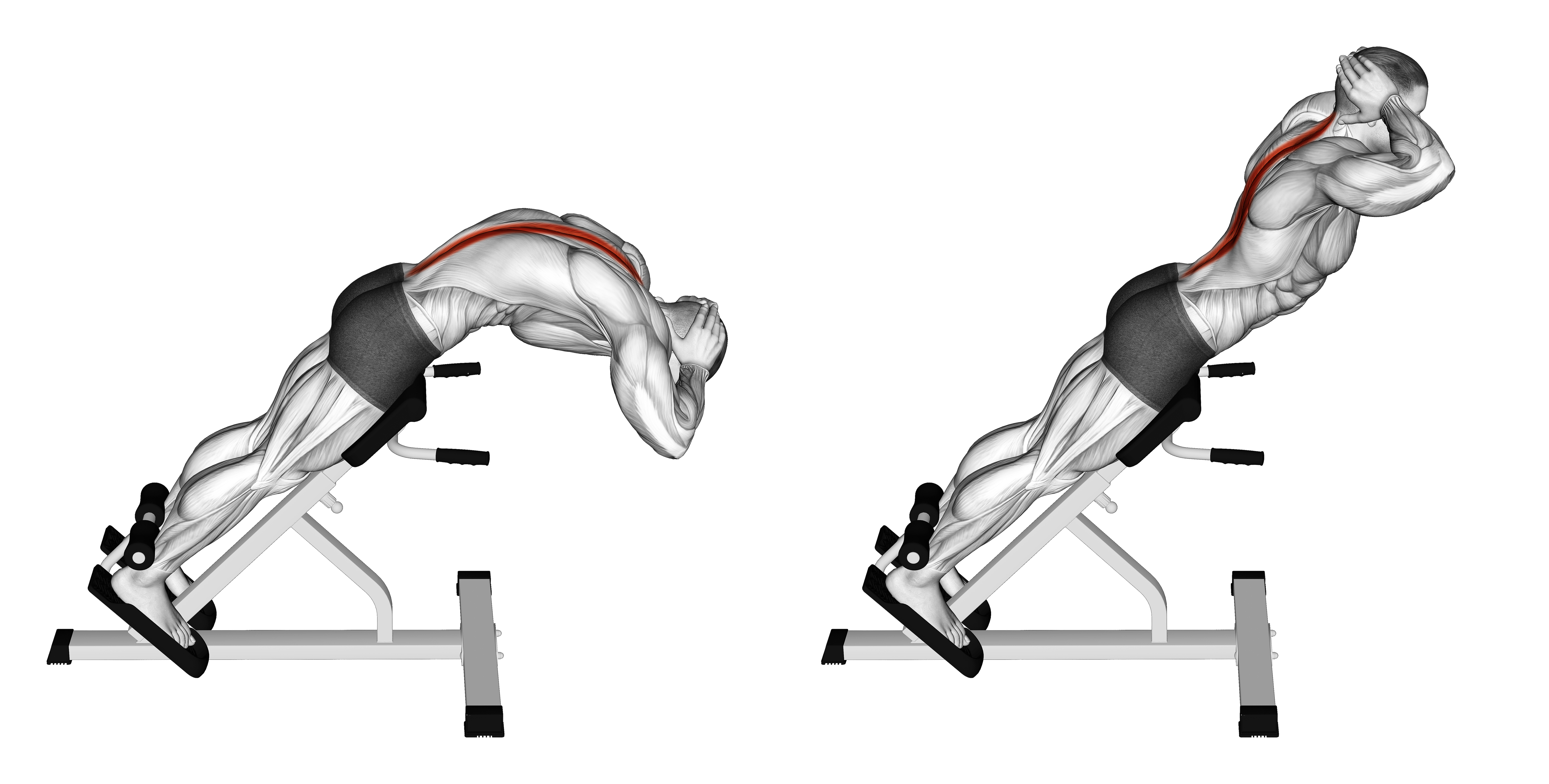 45 Degrees Back Extension