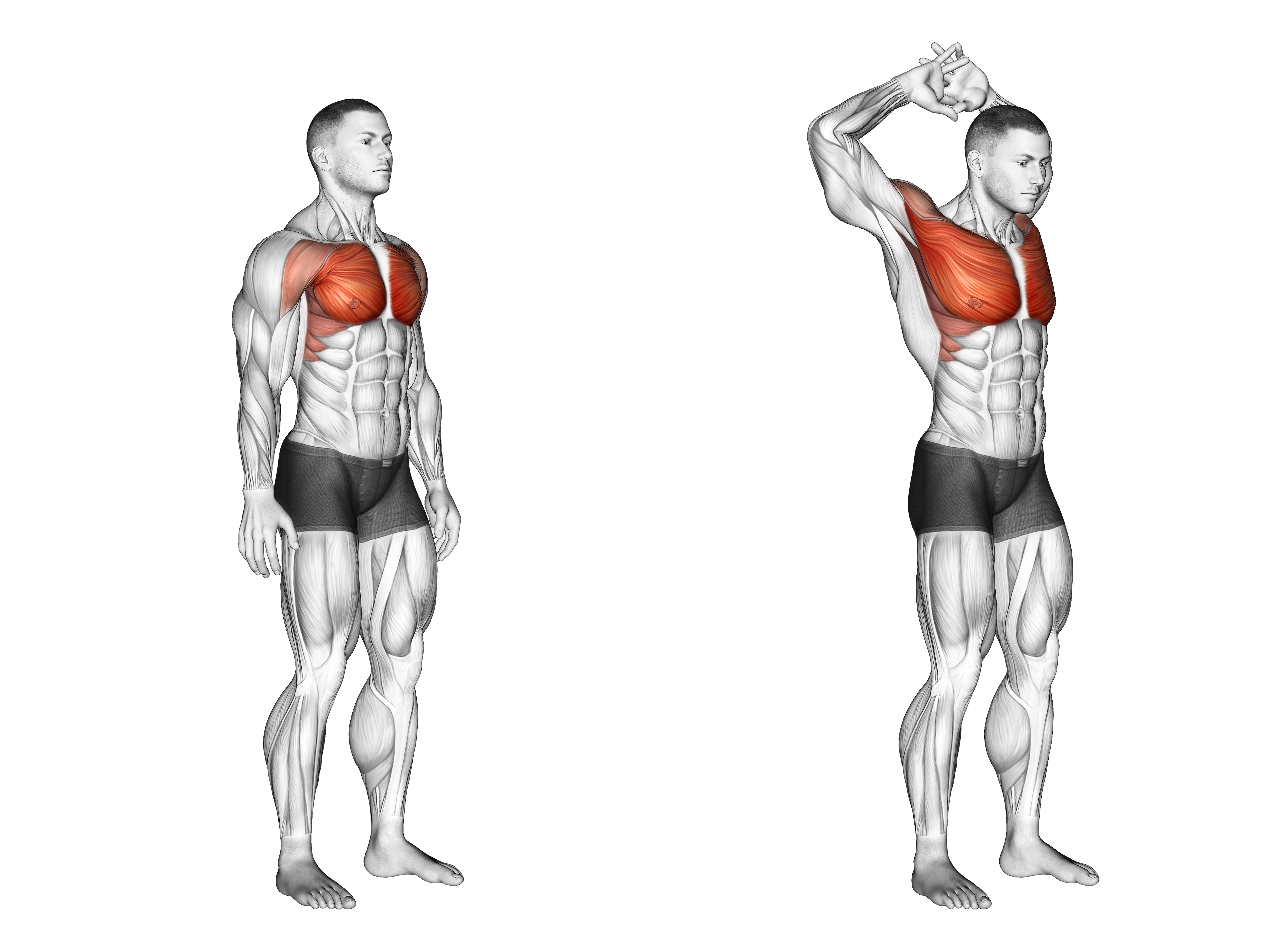 Above Head Chest Stretch