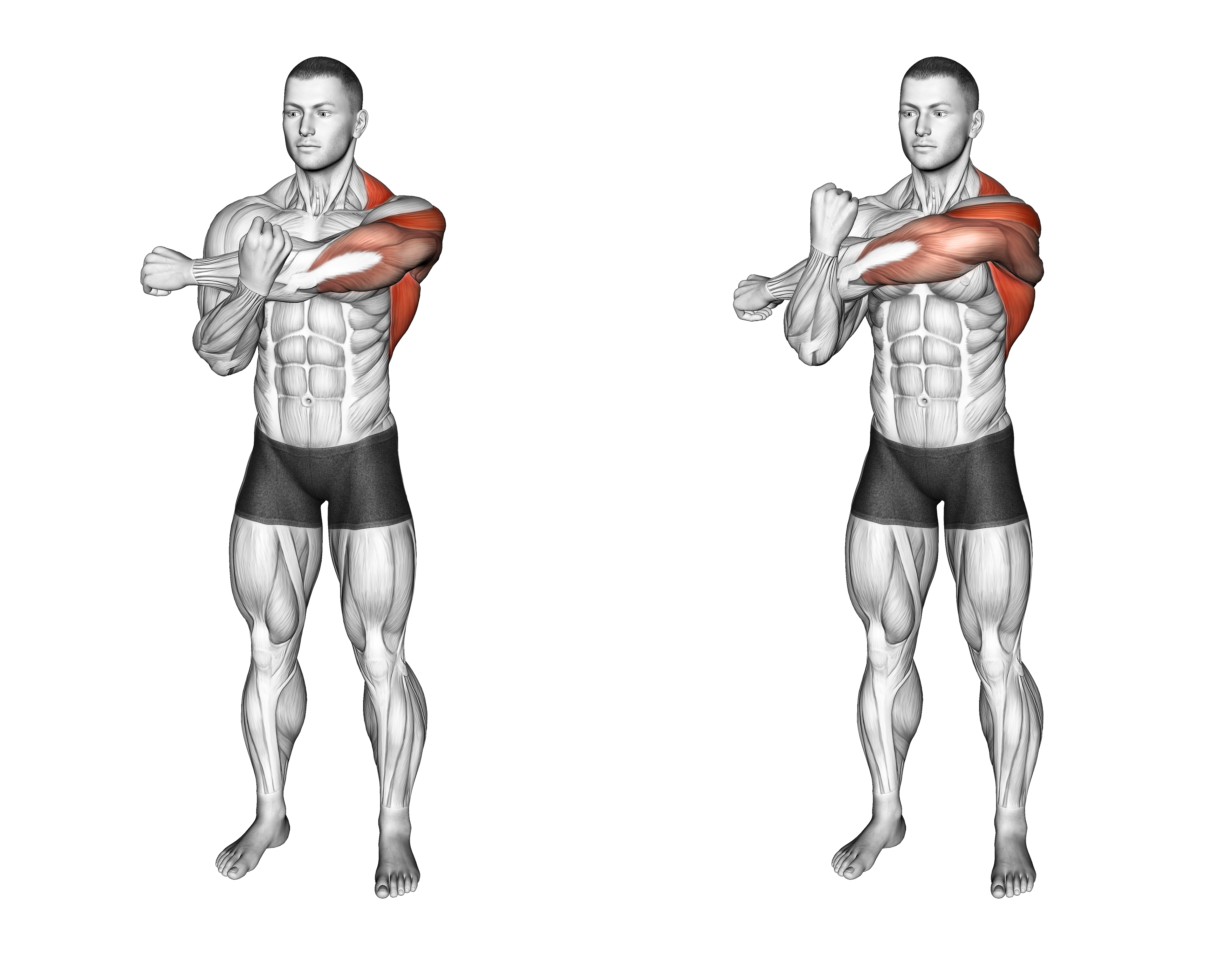 Across Chest Shoulder Stretch