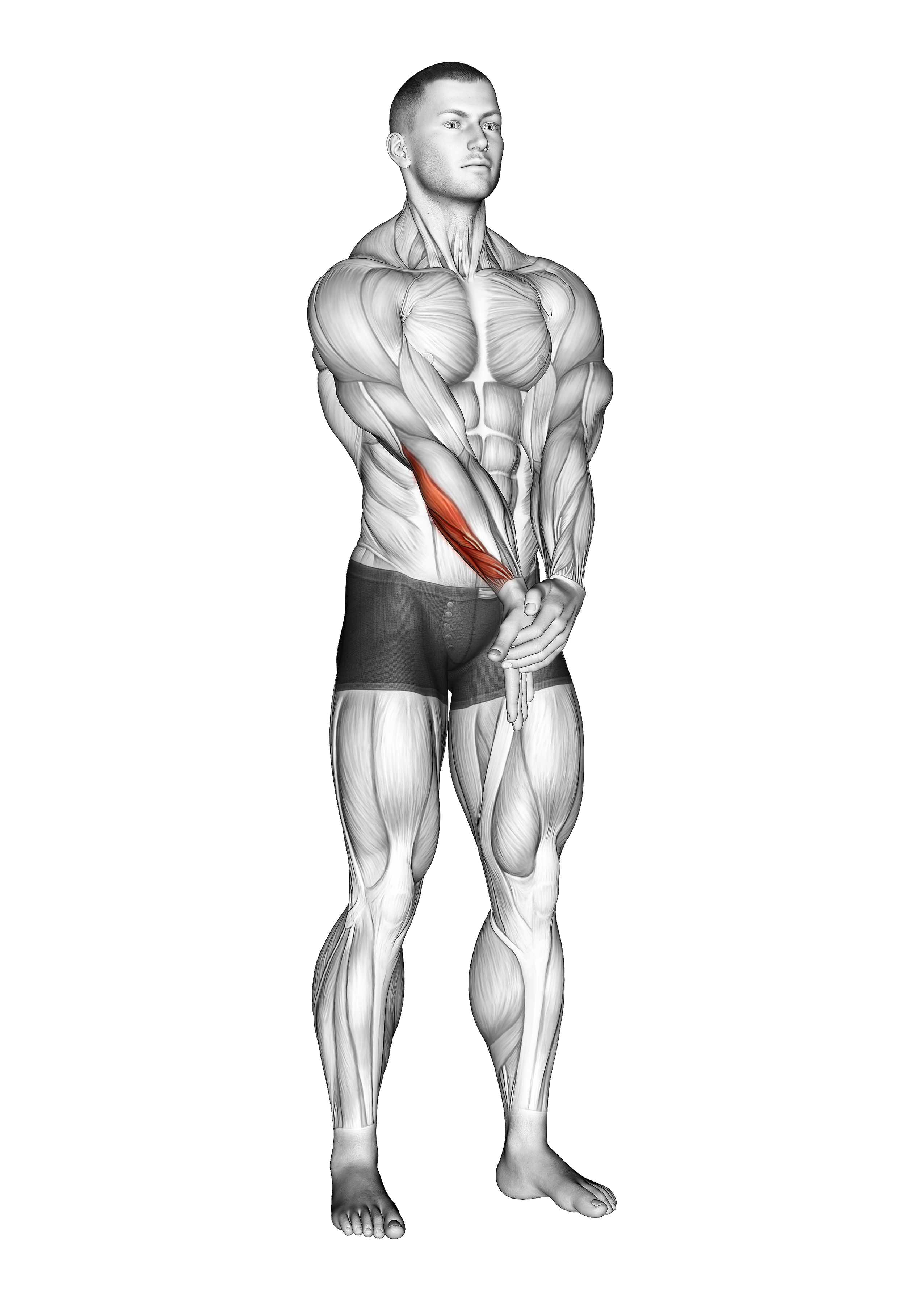 Adduction Hand With Elbow Extended Stretch