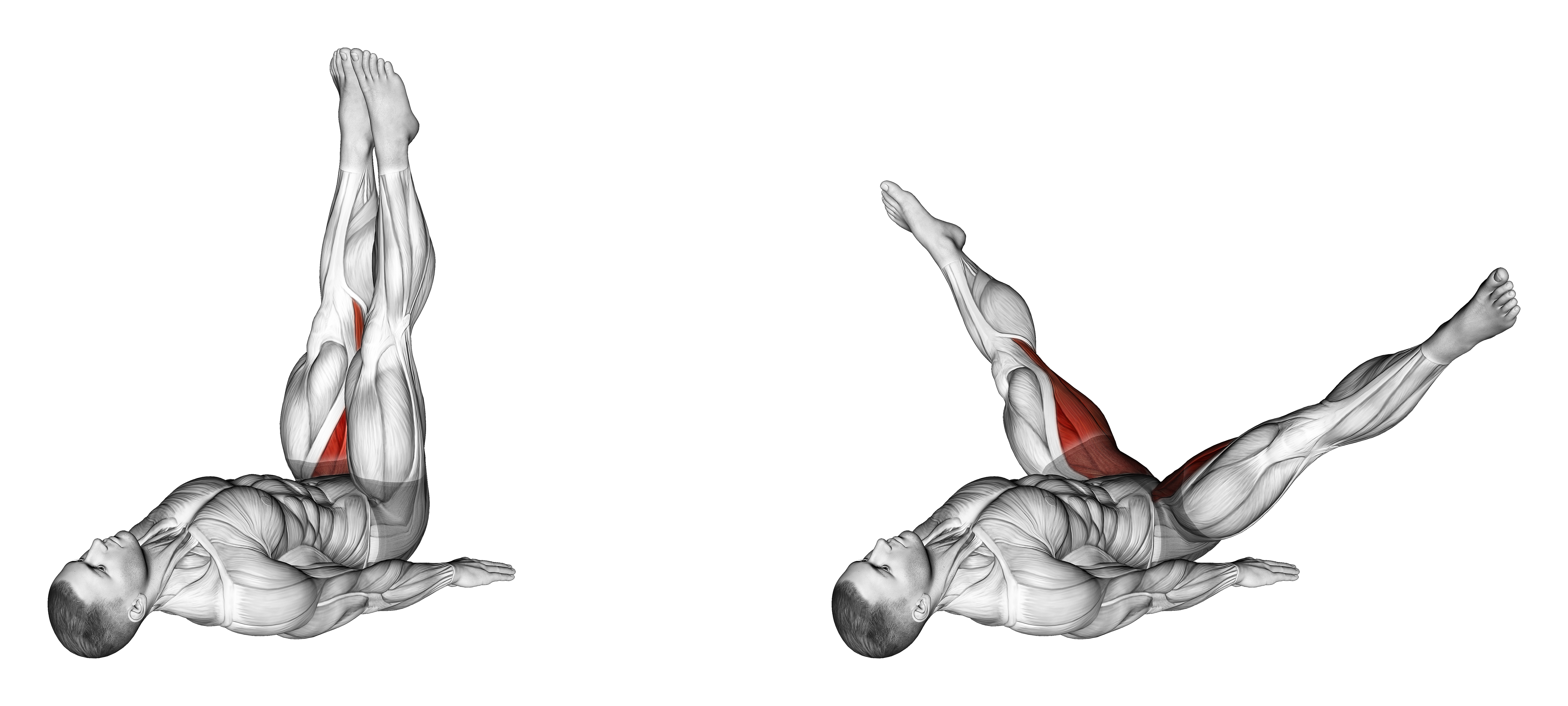 Adductor Stretch