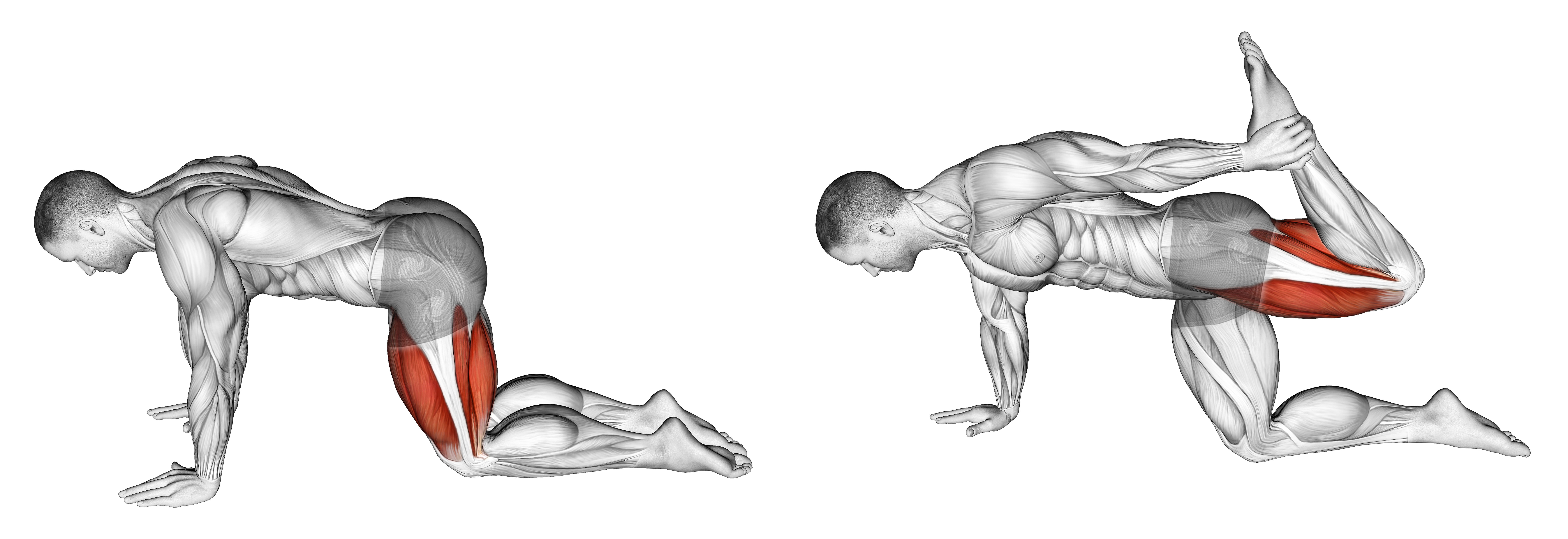 All Fours Squad Stretch