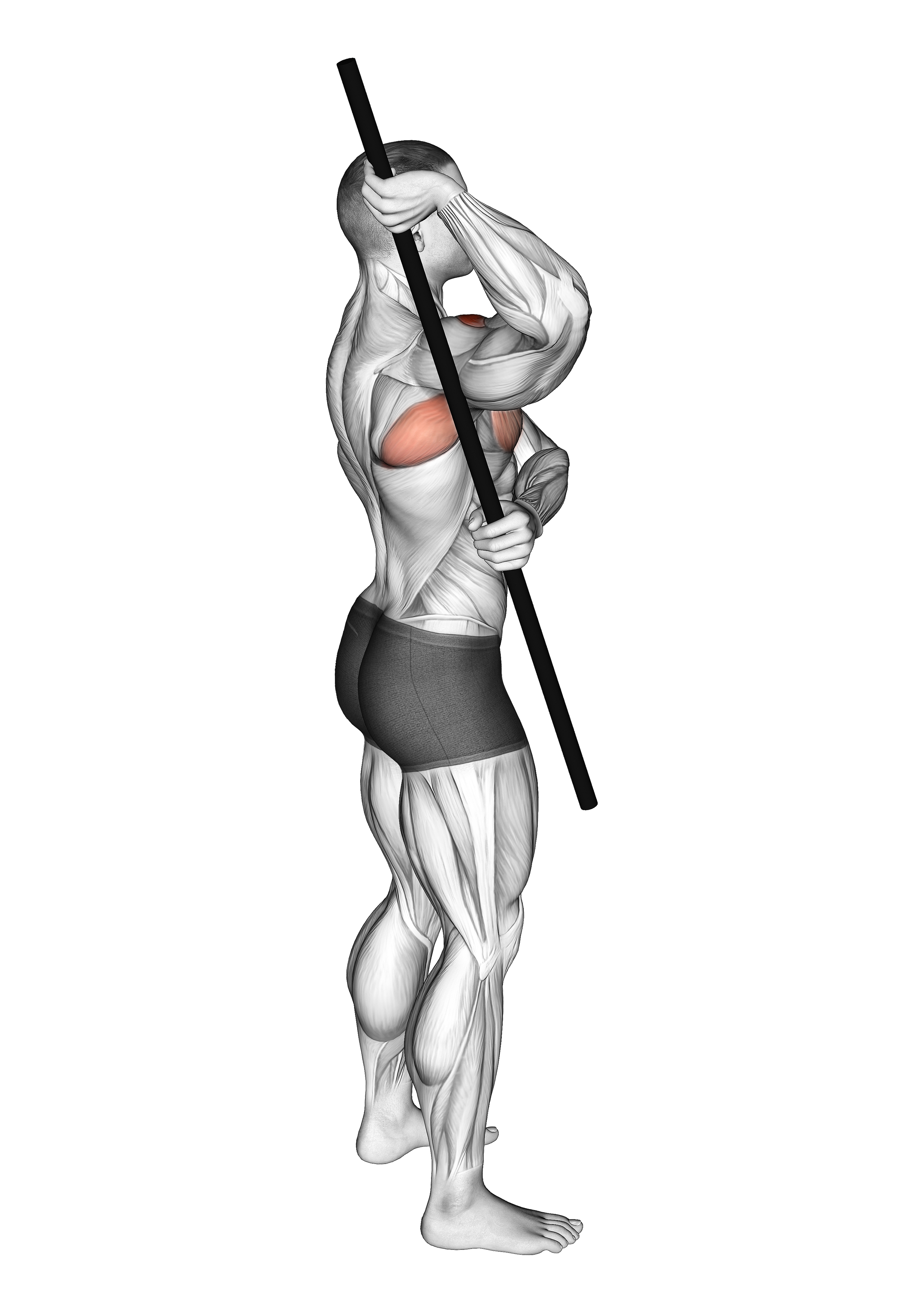 Arm Up Rotator Stretch