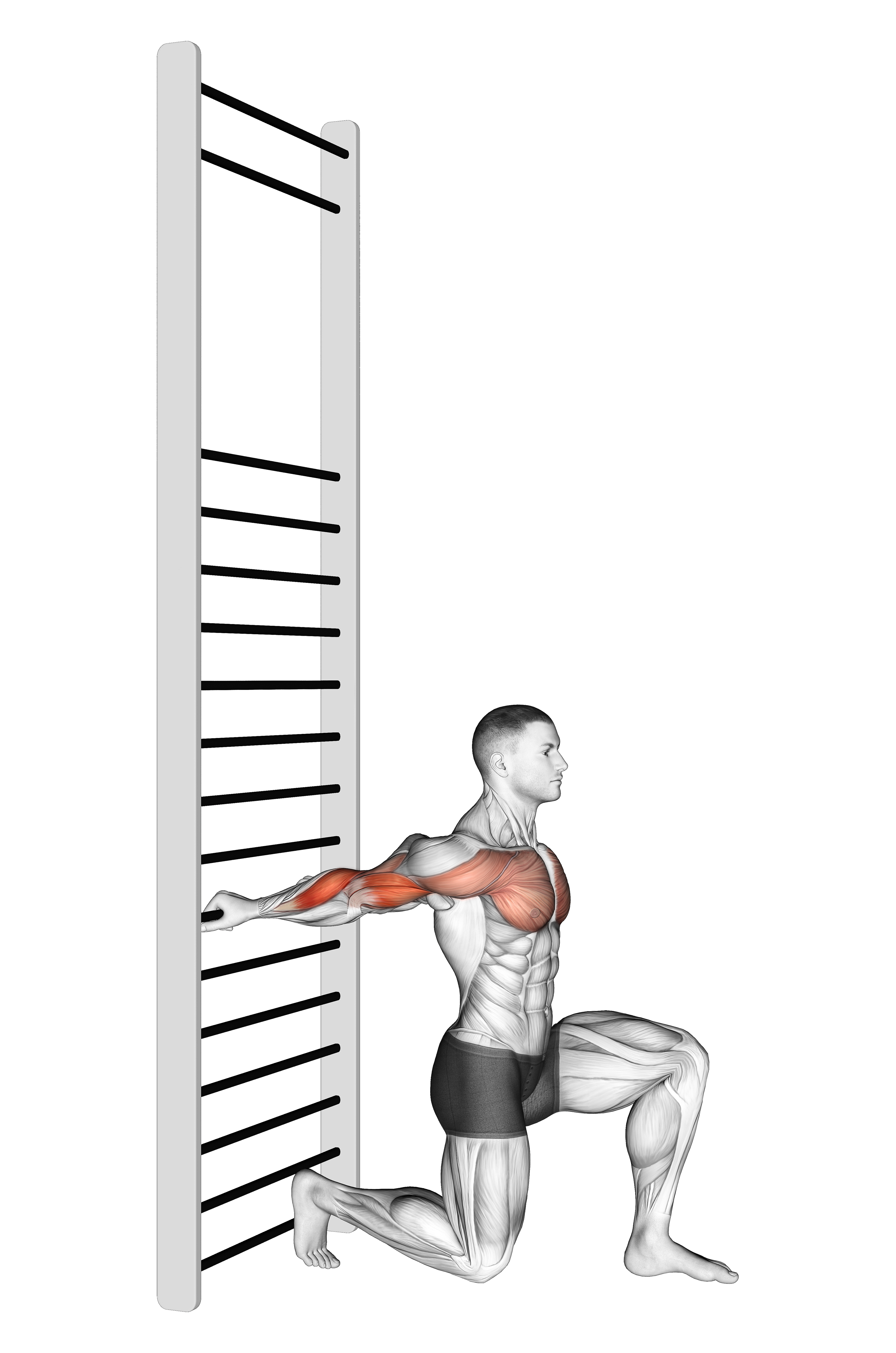 Arms Stretch On A Support