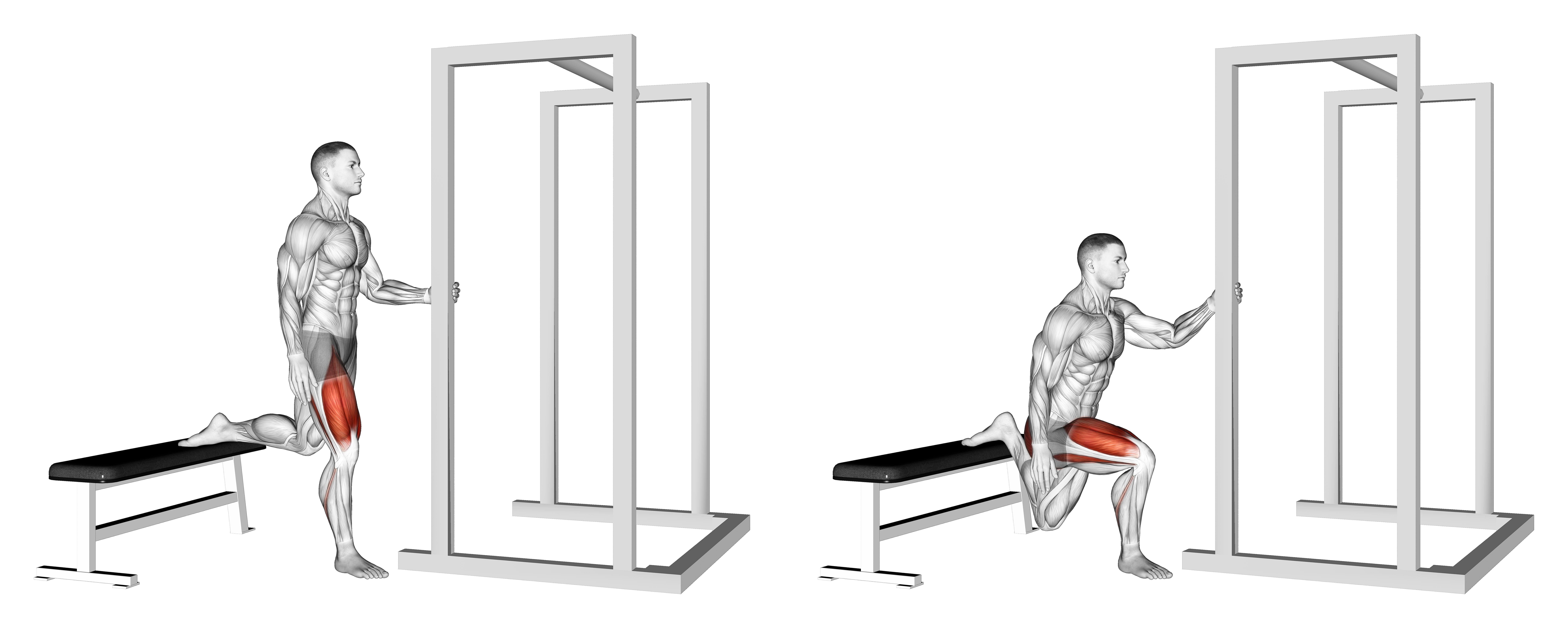 Assisted Bulgarian Split Squat