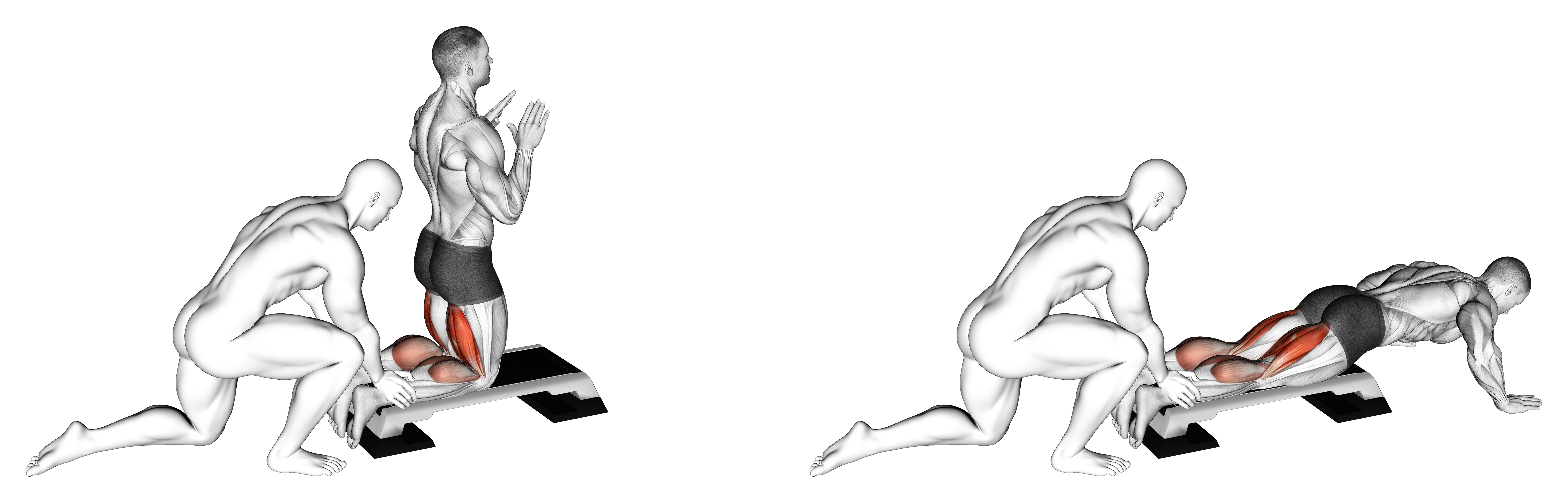 Assisted Inverse Leg Curl