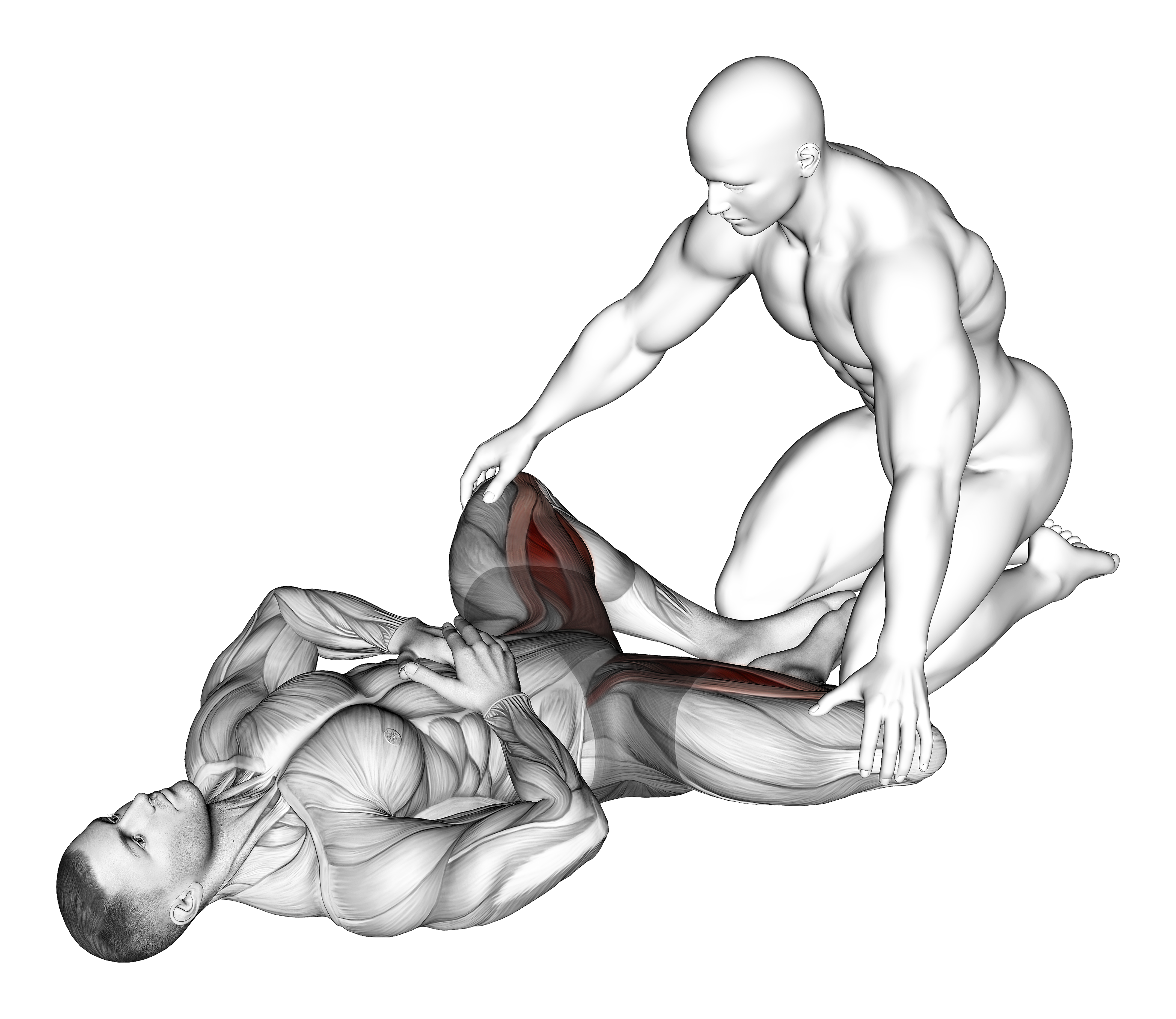 Assisted Lying Adductors Stretch