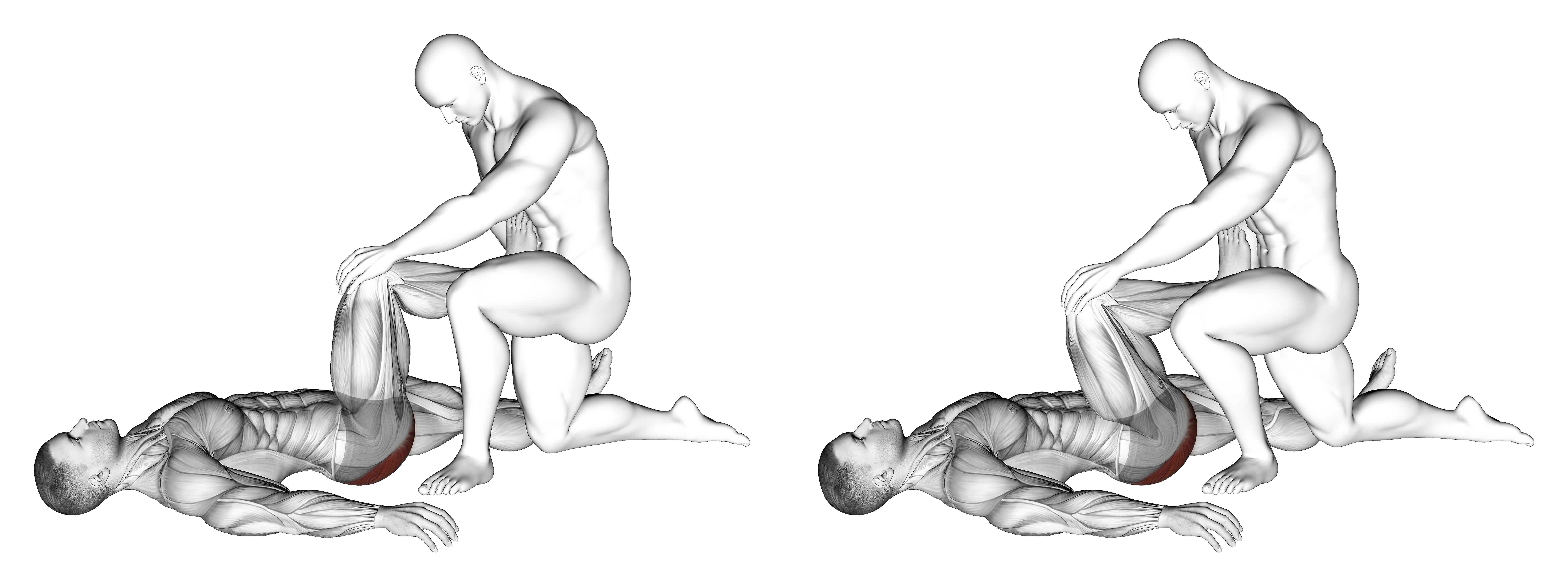 Assisted Lying Gluteus Maximus Stretch