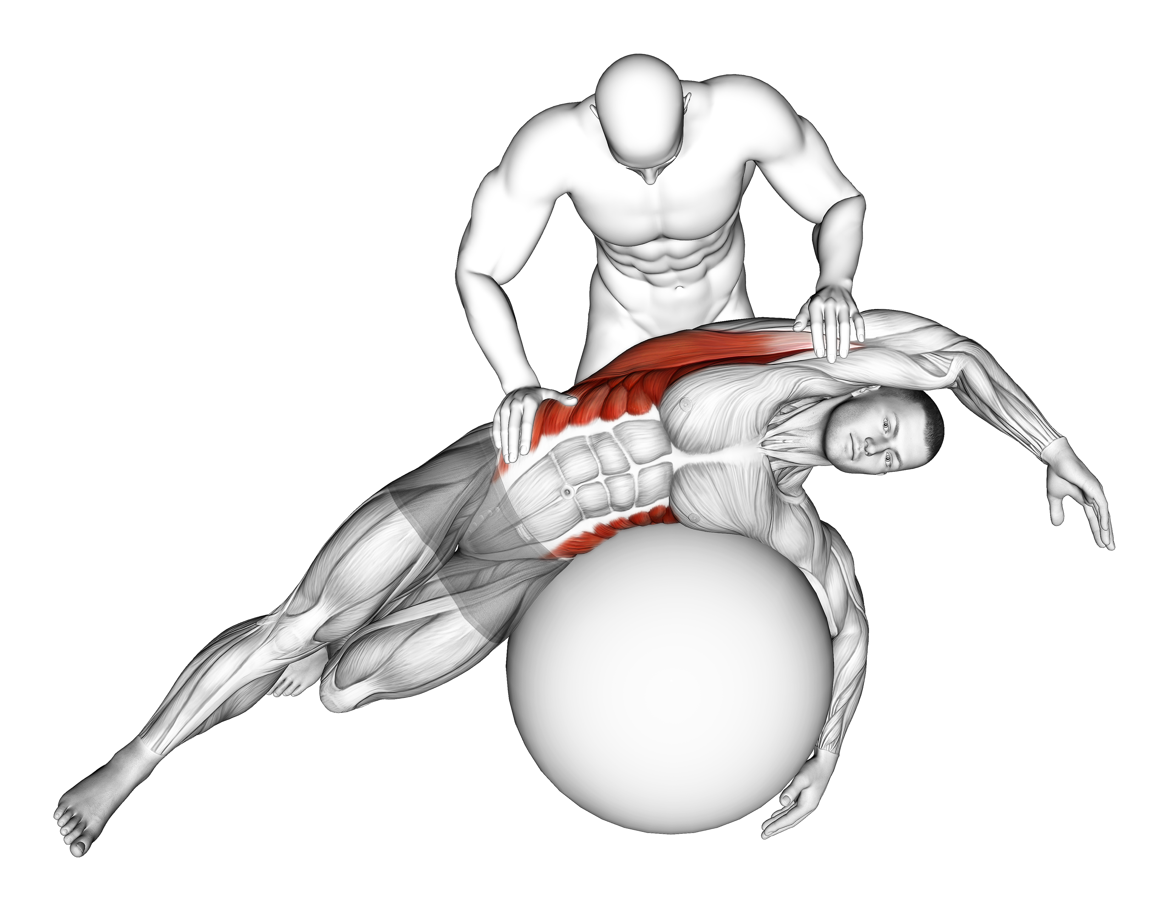 Assisted Oblique And Latissimus Dorsi Stretch On Stability Ball