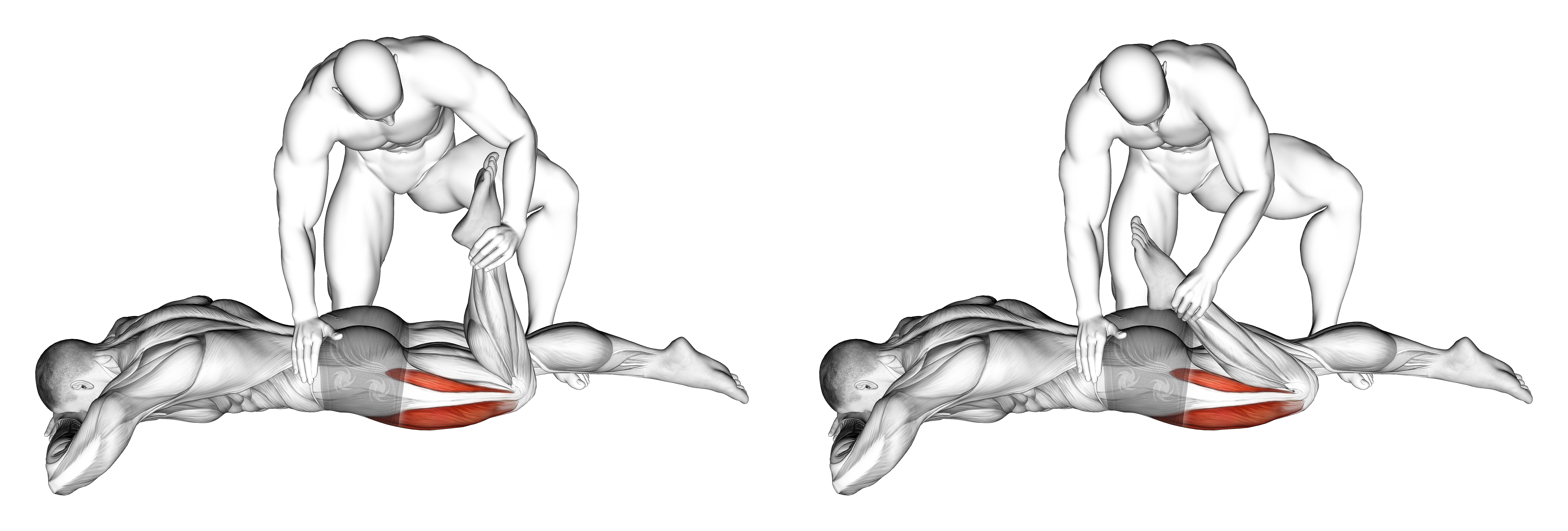 Assisted Prone Lying Quadriceps Stretch