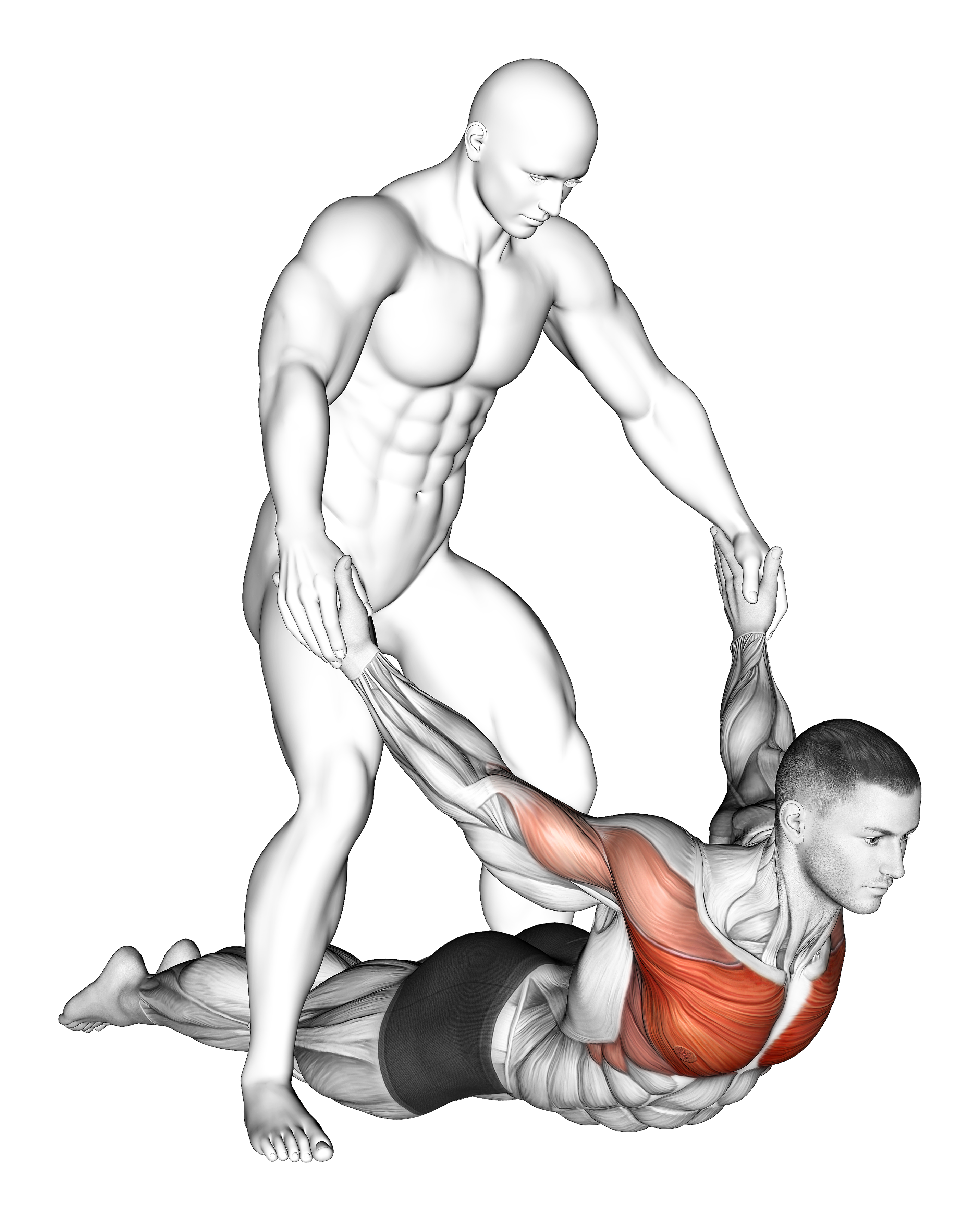Assisted Pulling Arms In Prone Position Chest Stretch