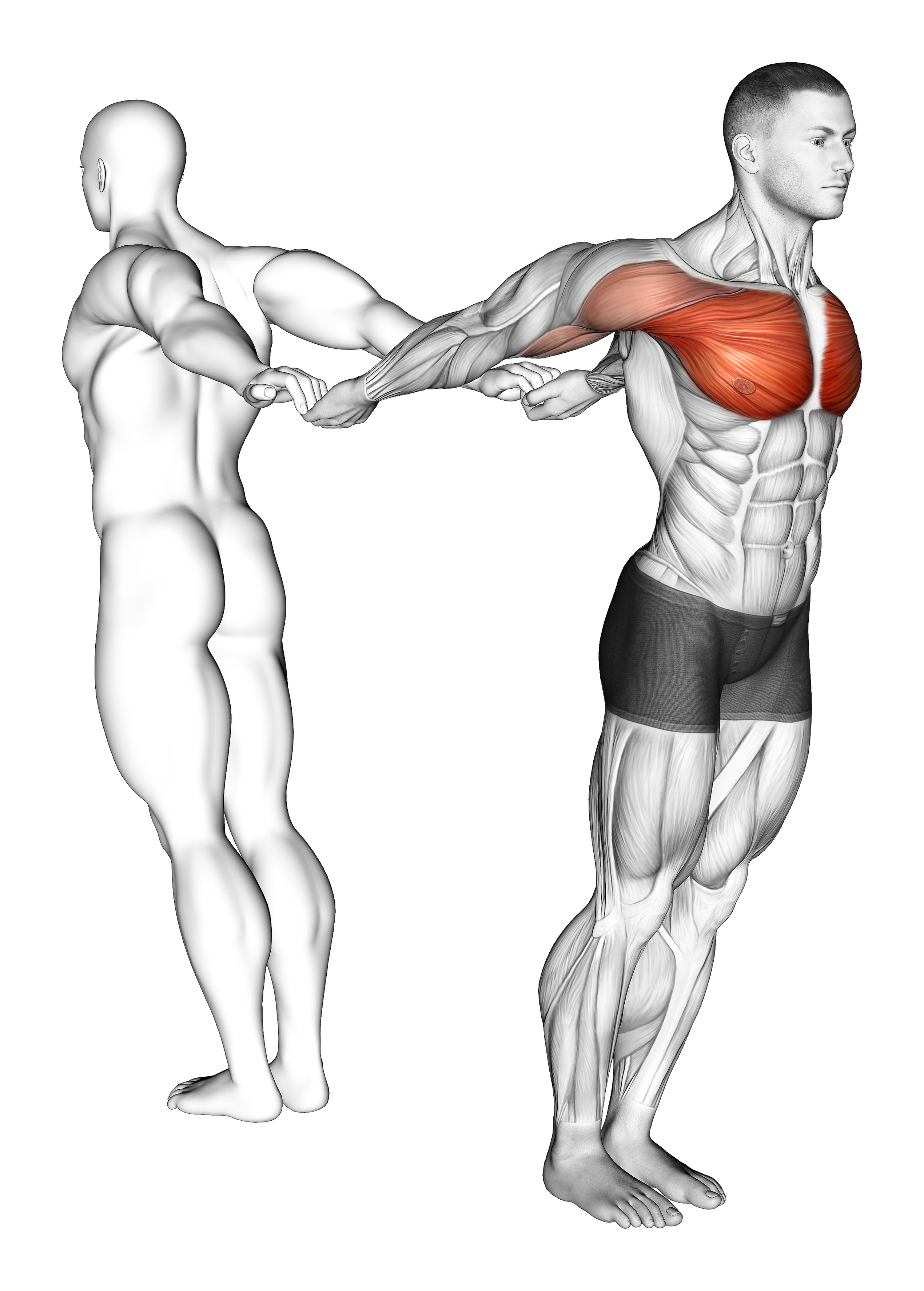 Assisted Pulling Backs Chest Stretch