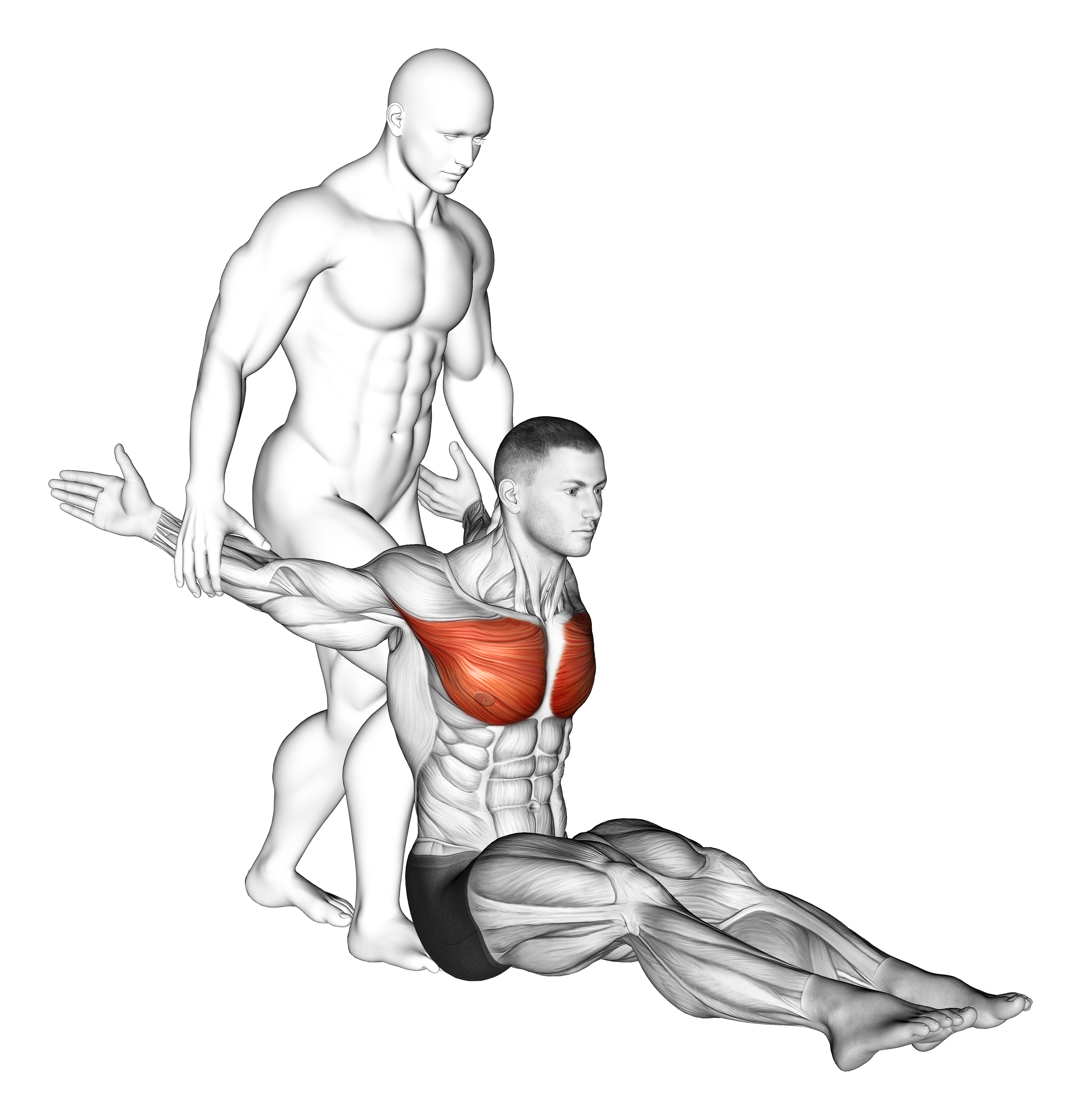 Assisted Seated Chest Stretch