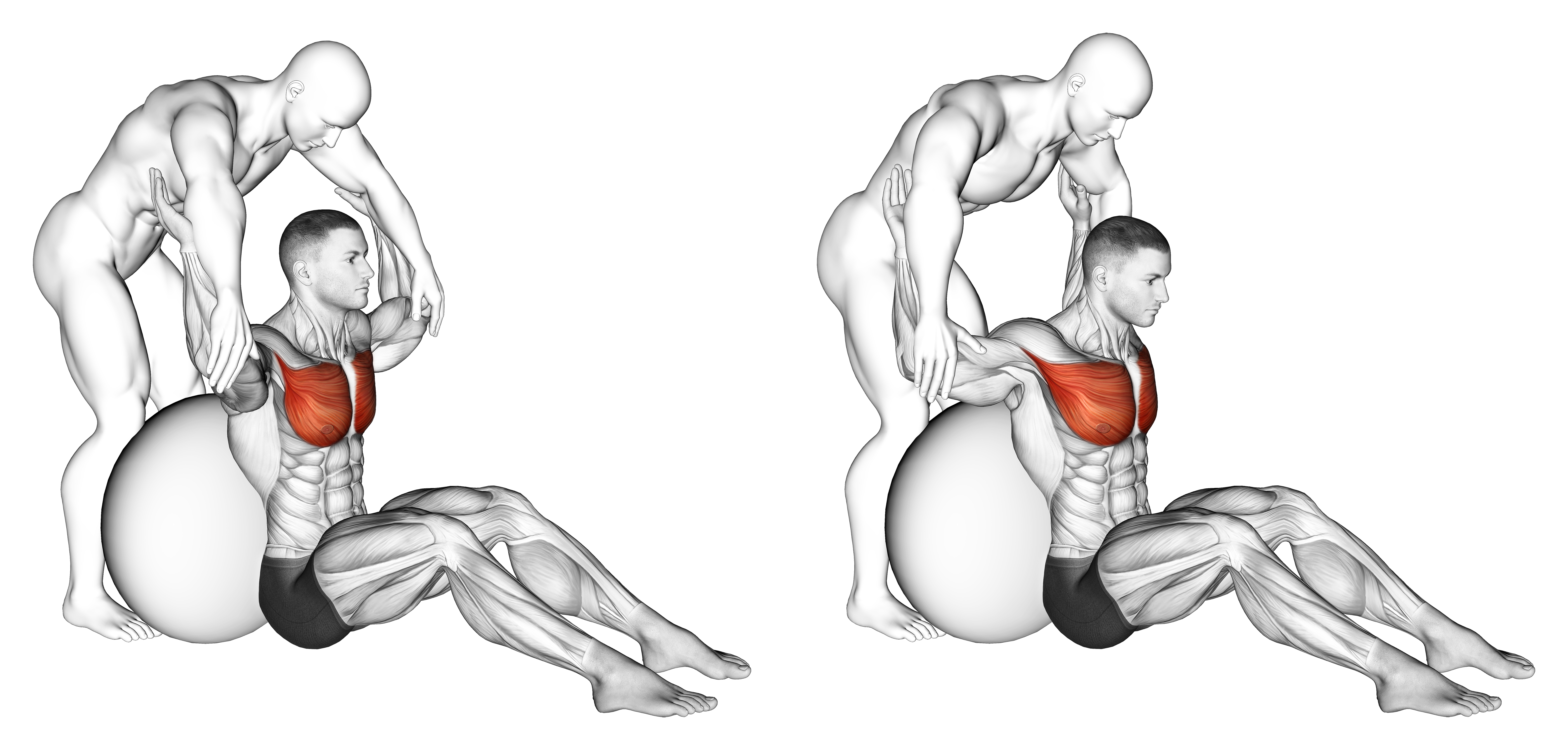 Assisted Seated Pectoralis Major Stretch With Stability Ball