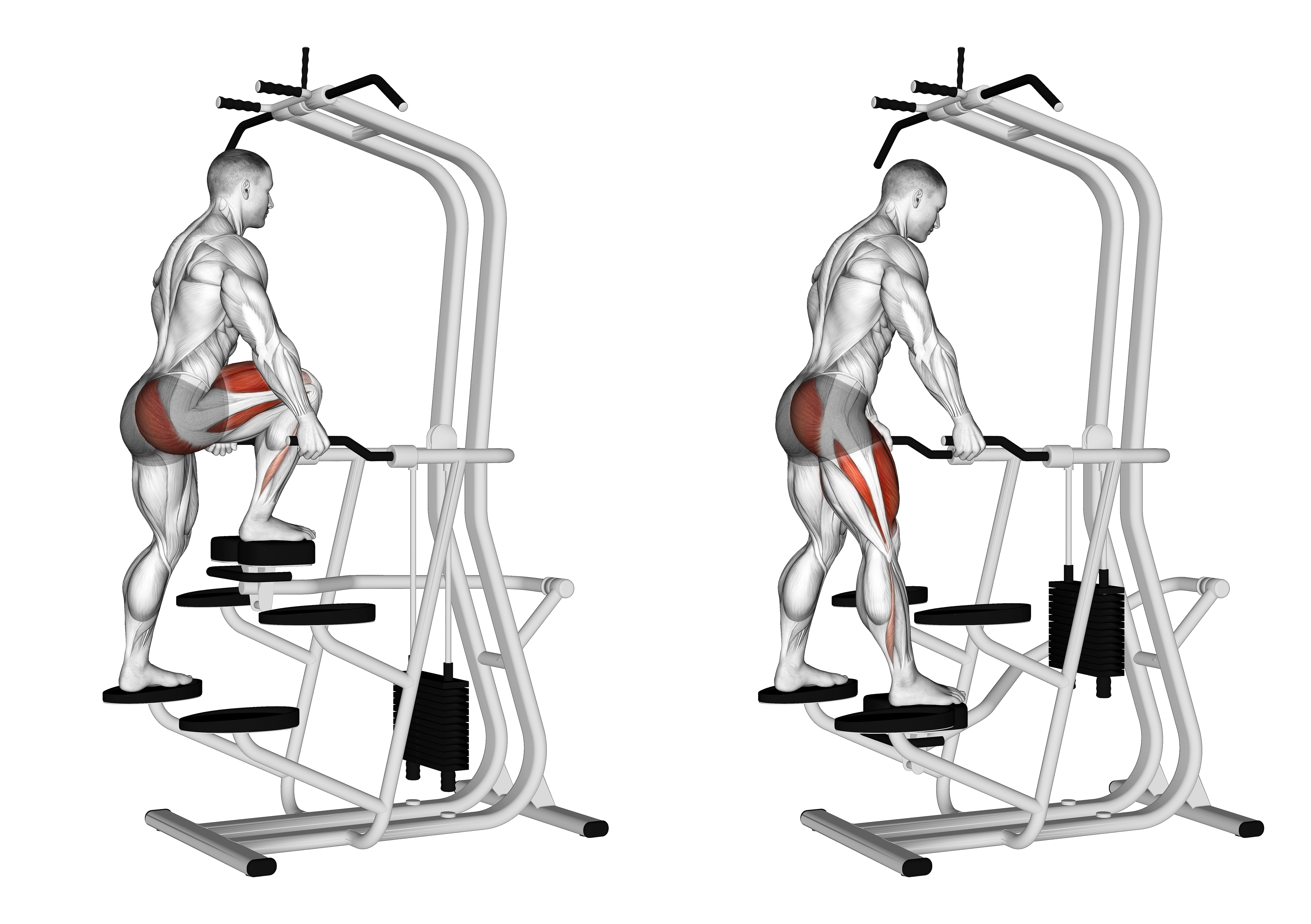 Assisted Single Leg Press