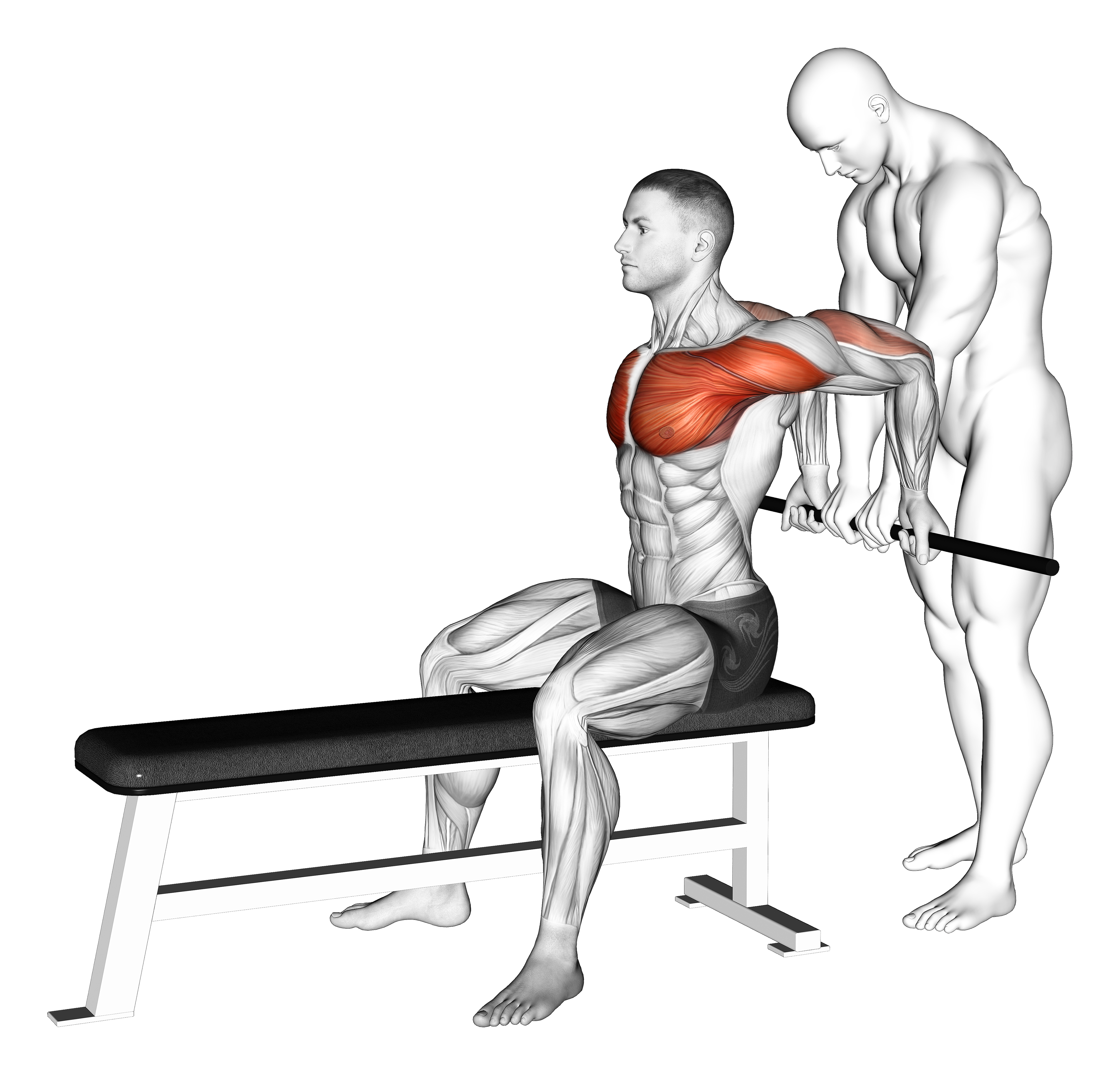 Assisted Sitting Reverse Shoulder Stretch
