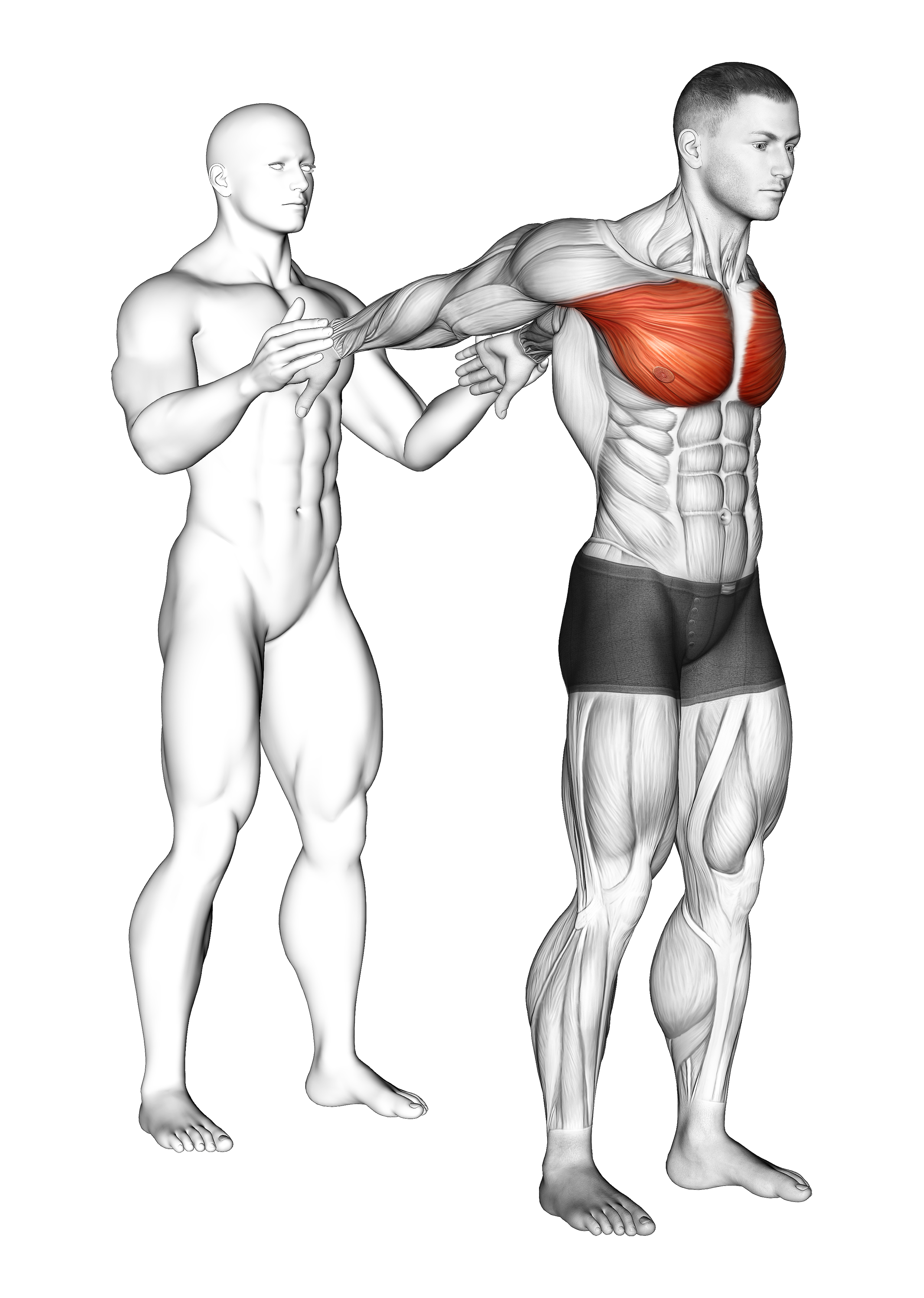 Assisted Standing Chest Stretch