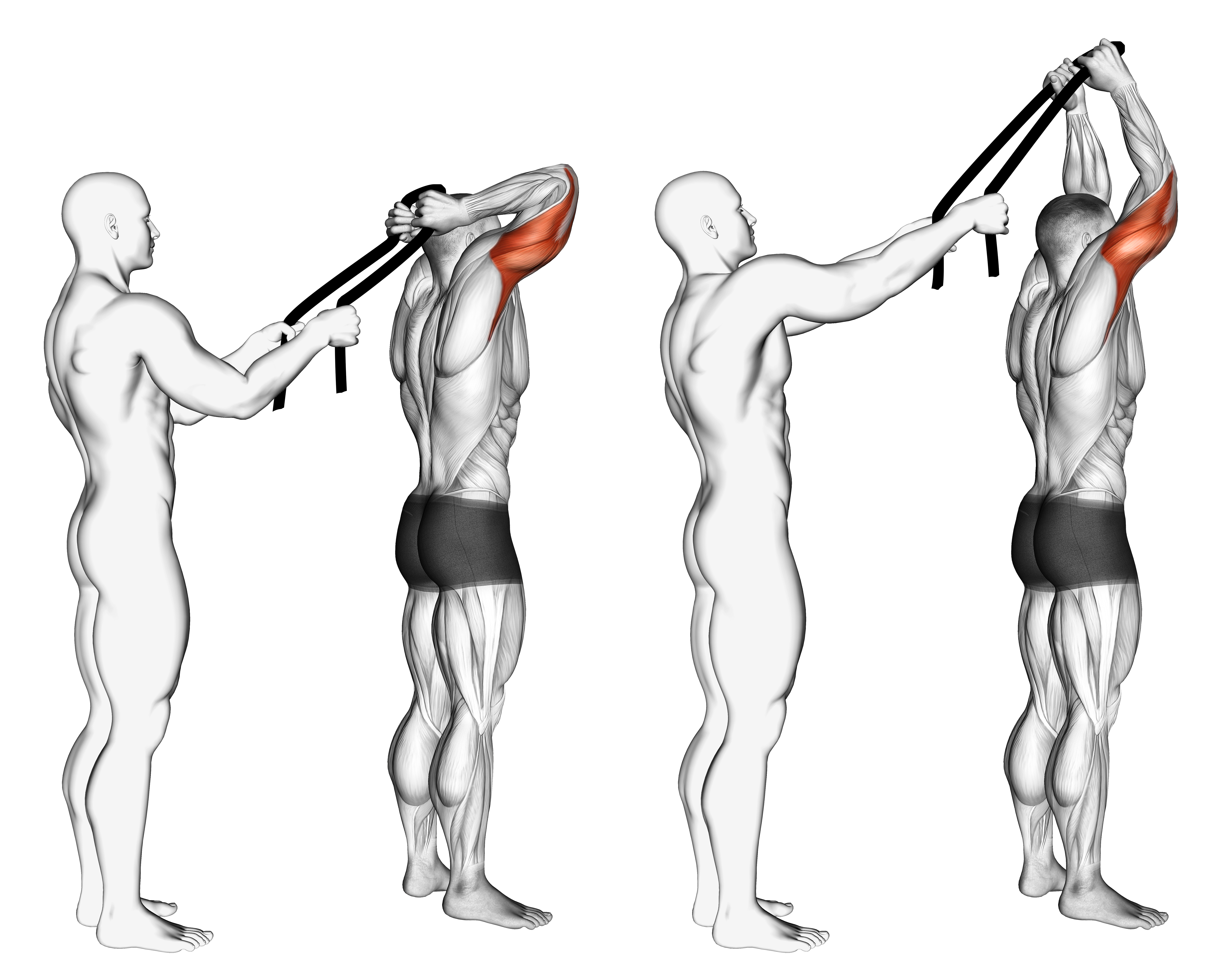 Assisted Standing Triceps Extension With Towel