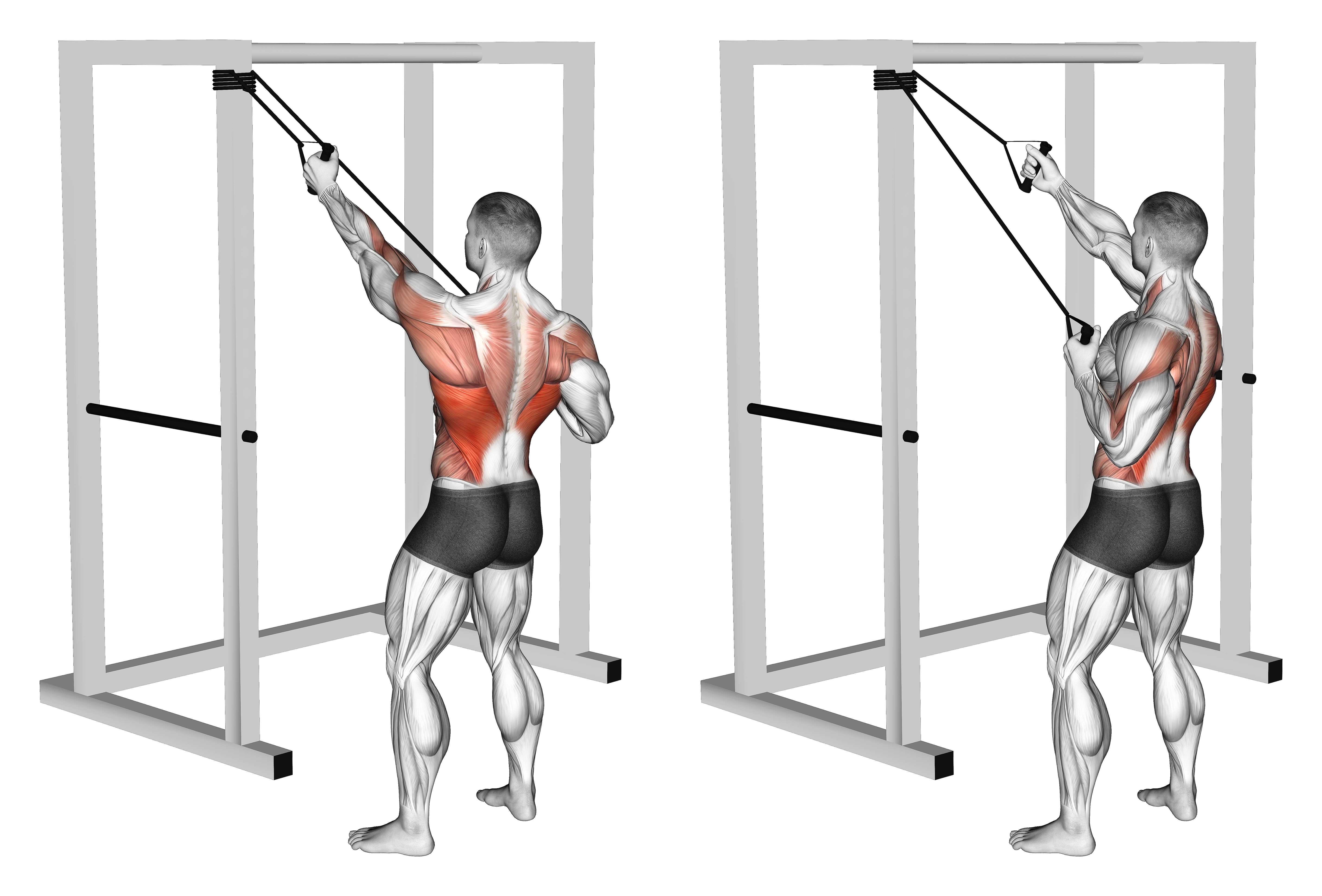 Band Alternate Lat Pulldown With Twist