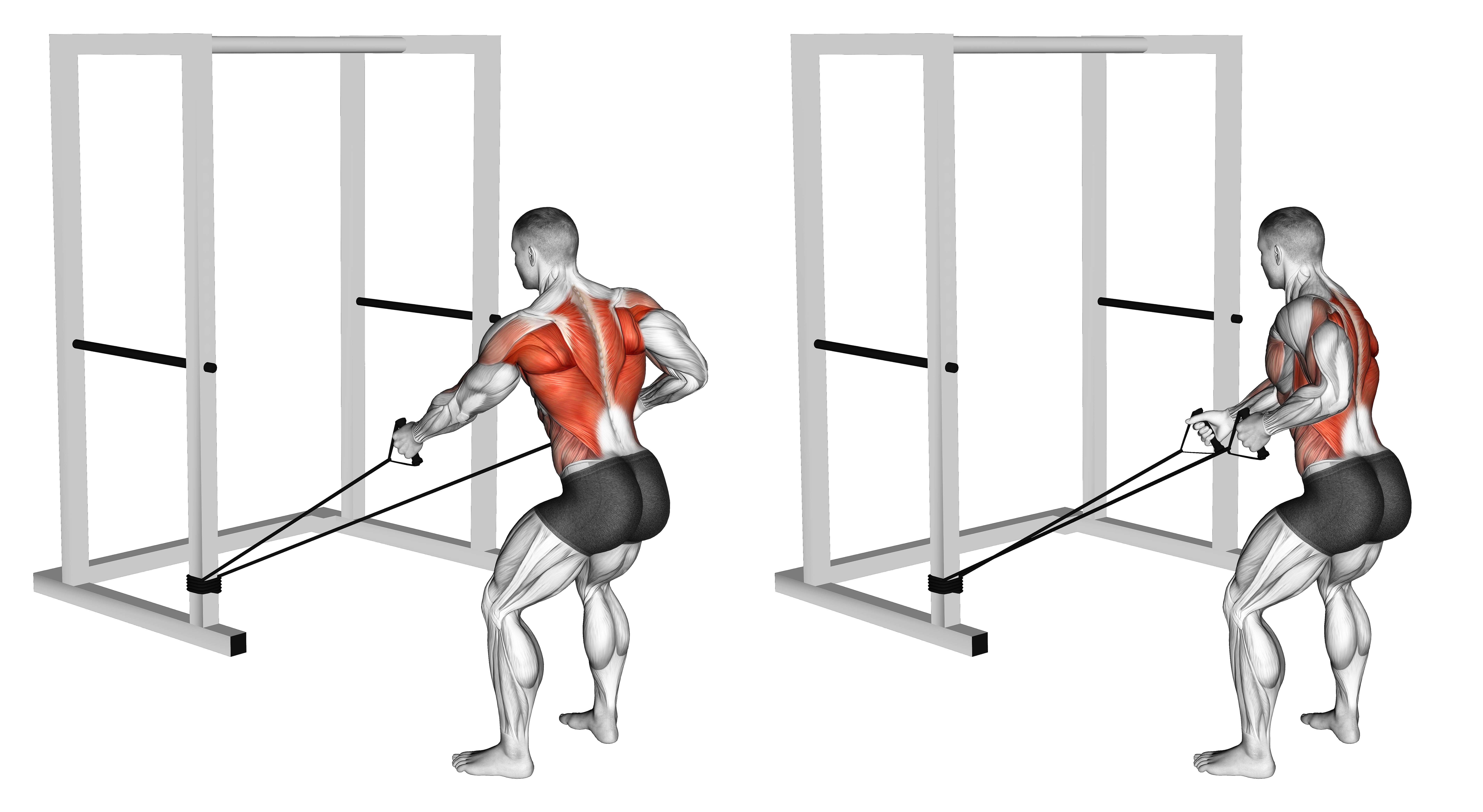 Band Alternate Low Row Wtih Twist