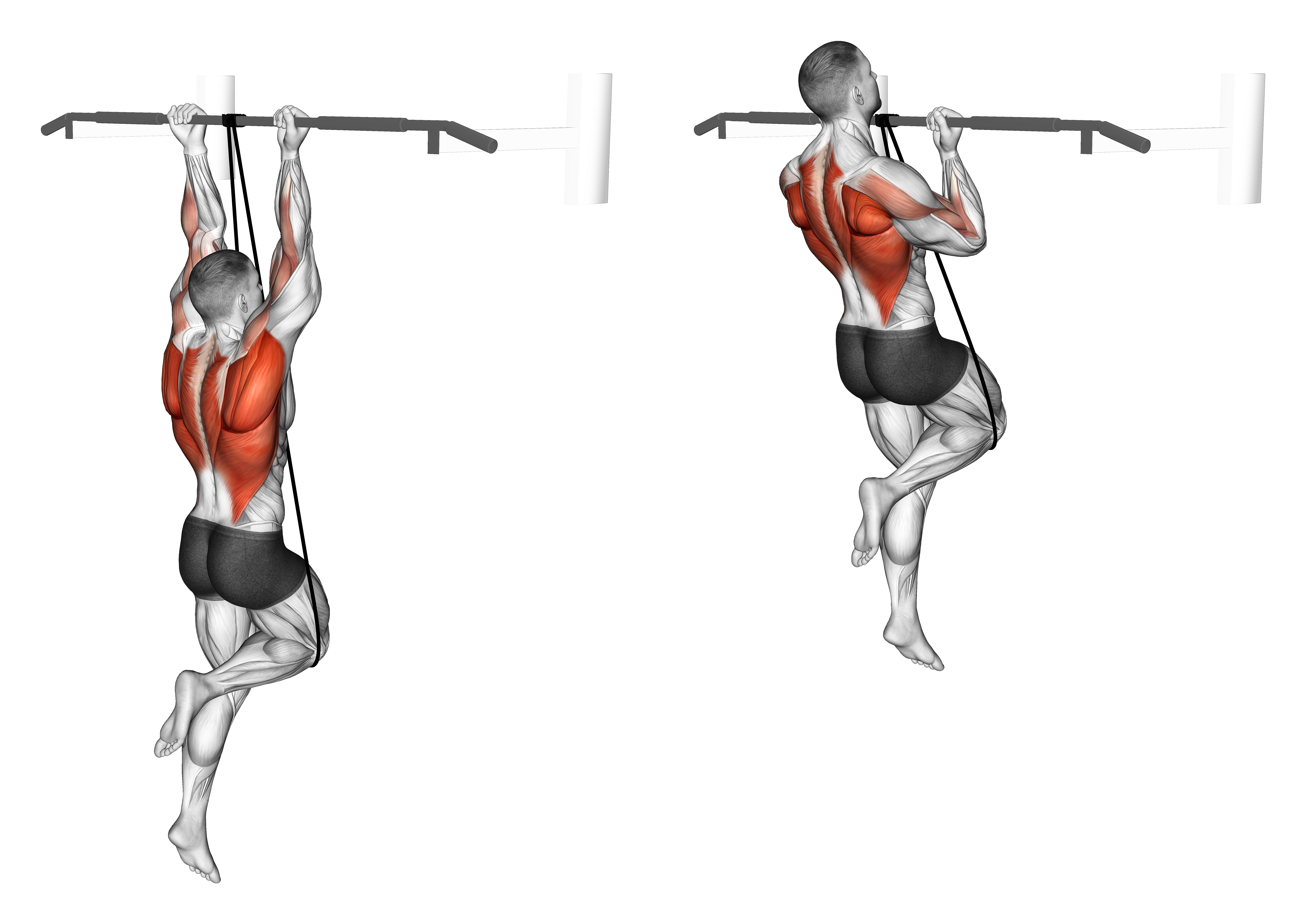 Band Assisted Chin Up (from Knee)