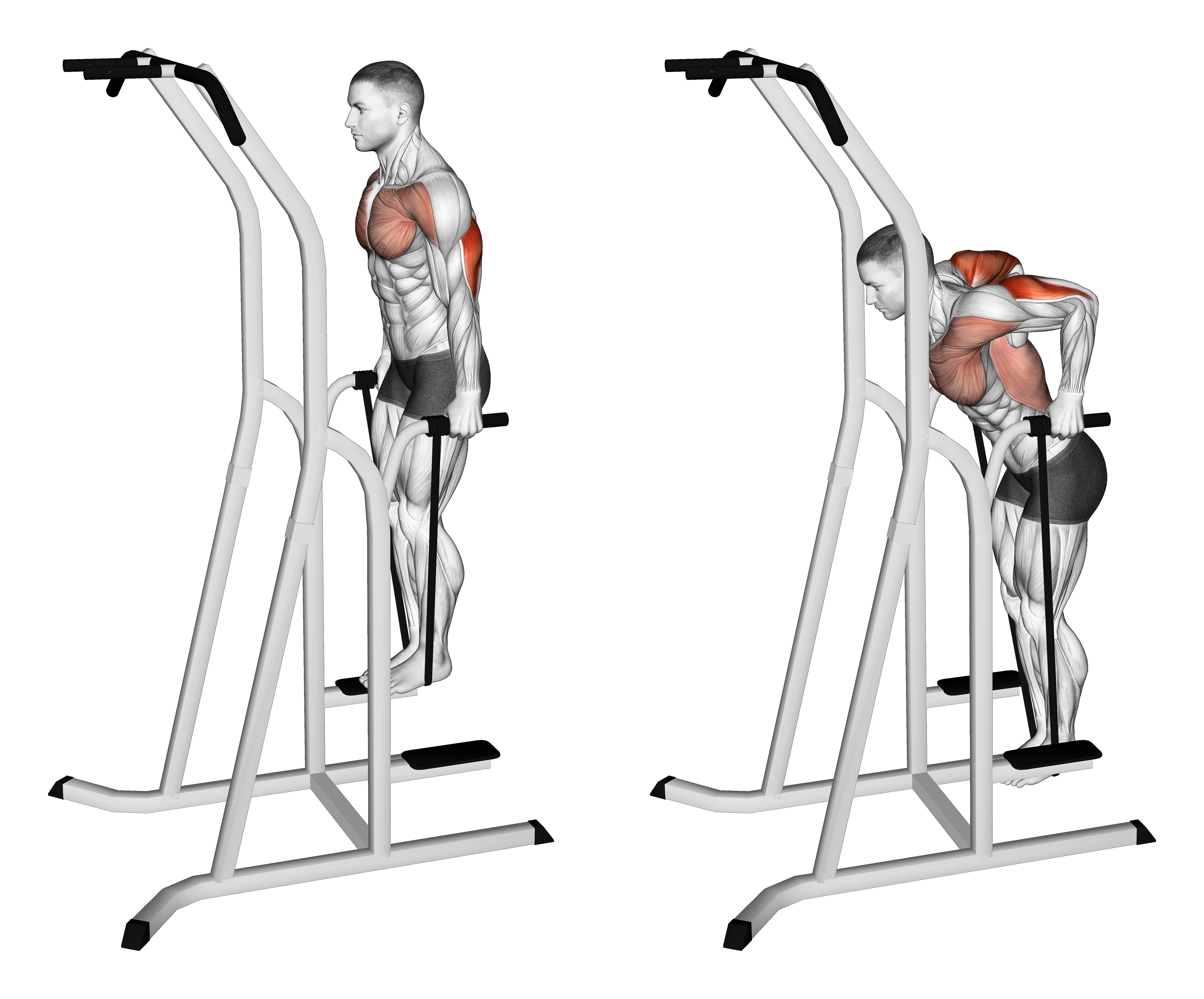 Band Assisted Dip (version 2)