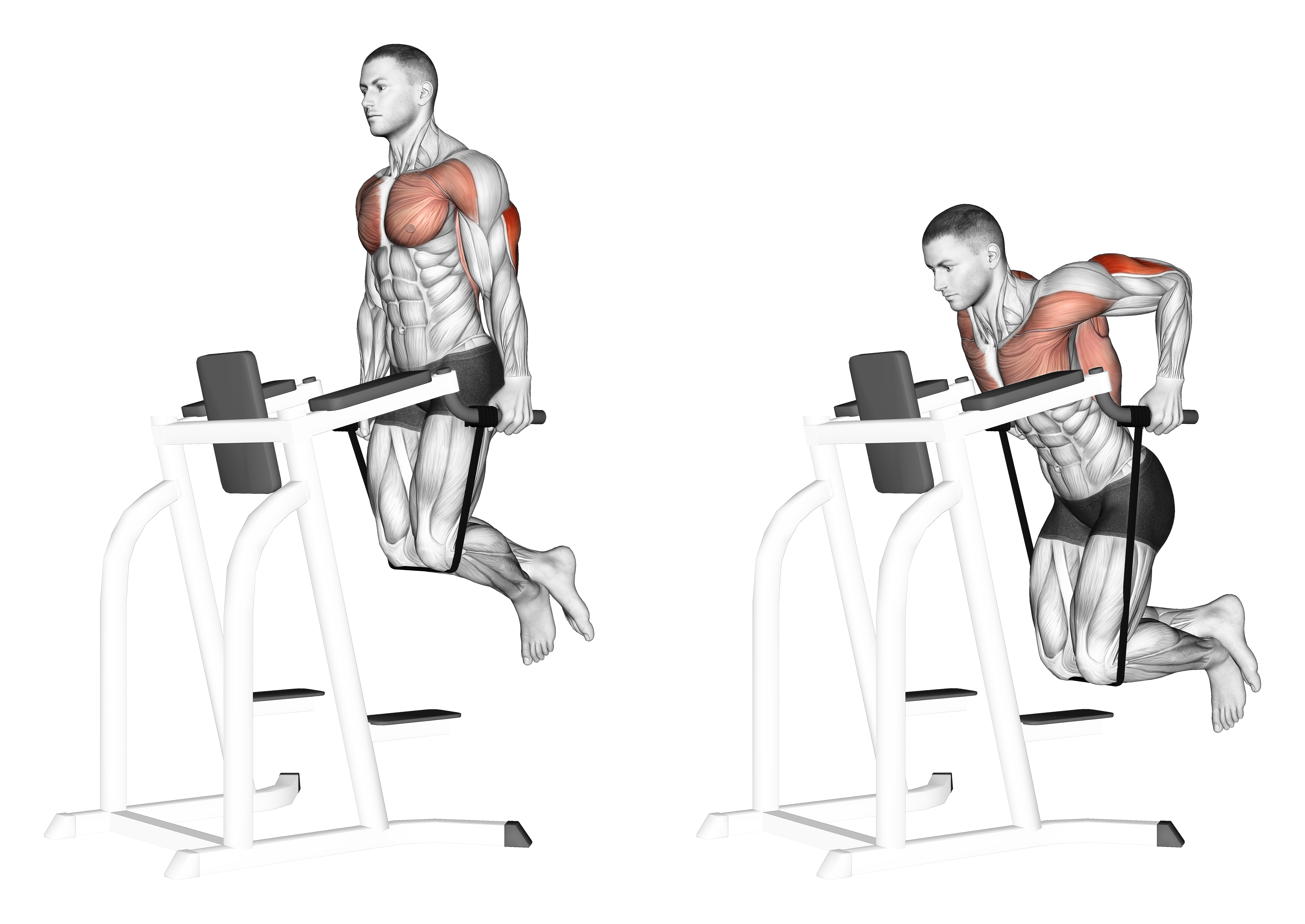 Band Assisted Dip