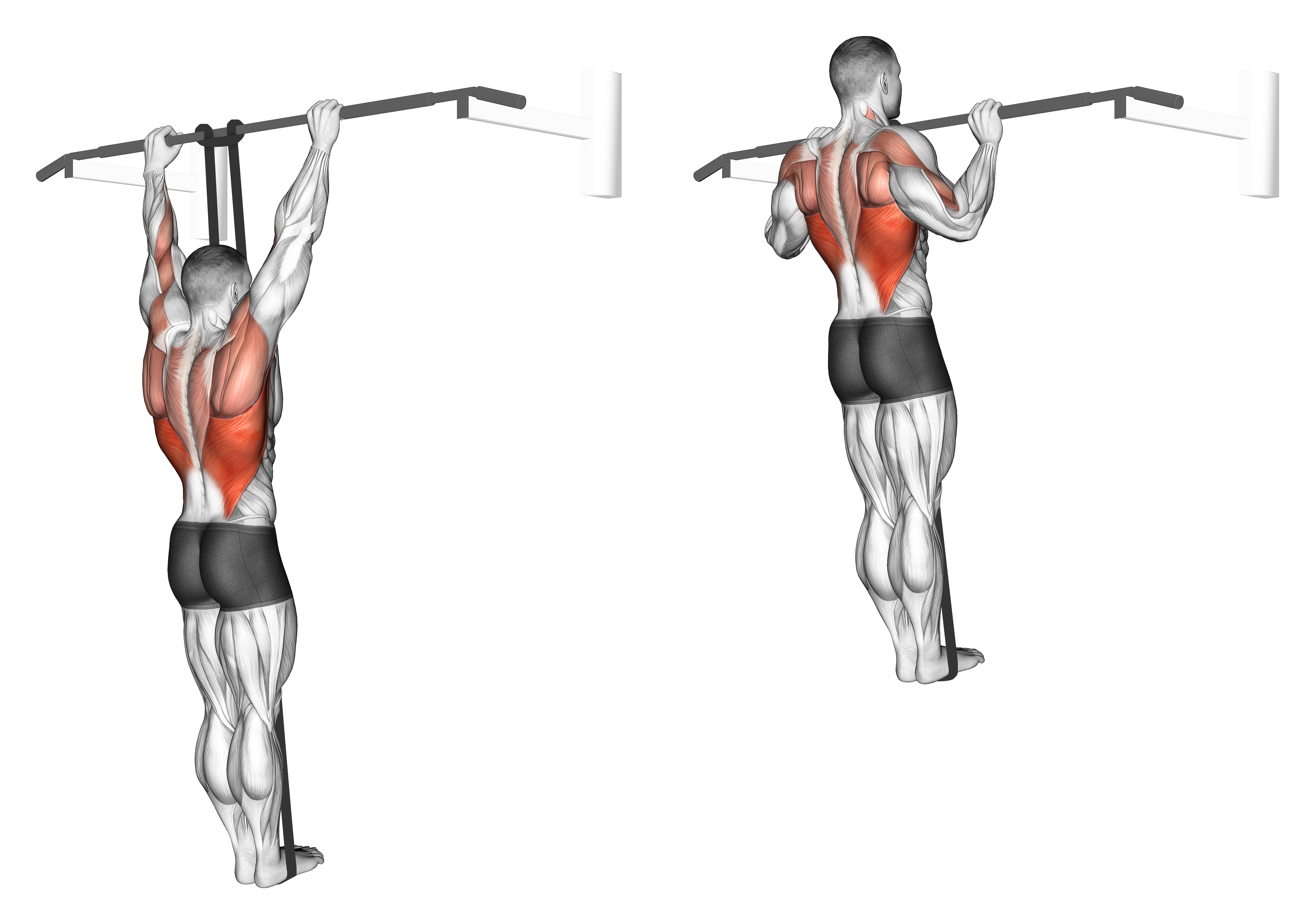 Band Assisted Pull Up (version 3)