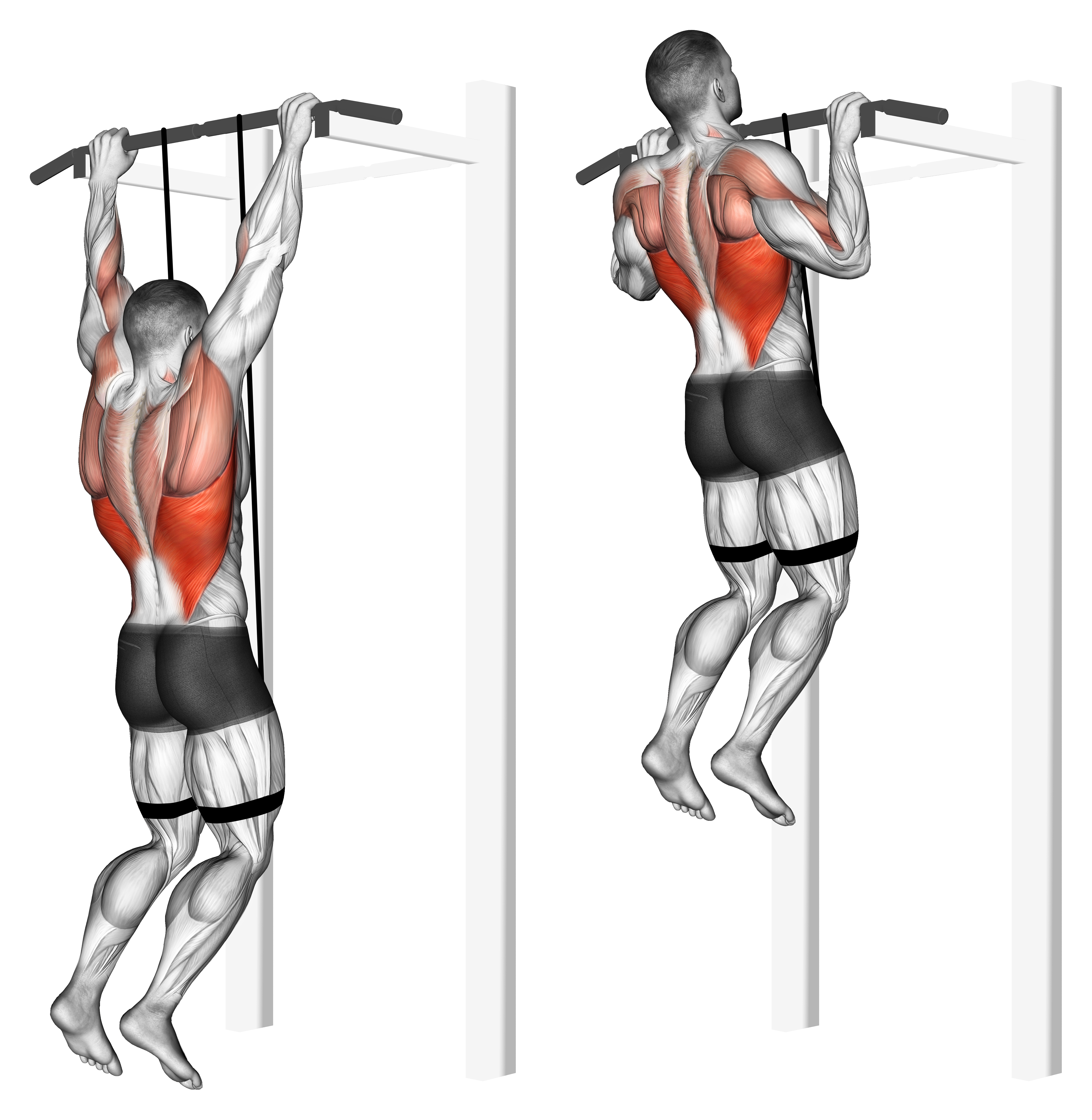 Band Assisted Pull Up