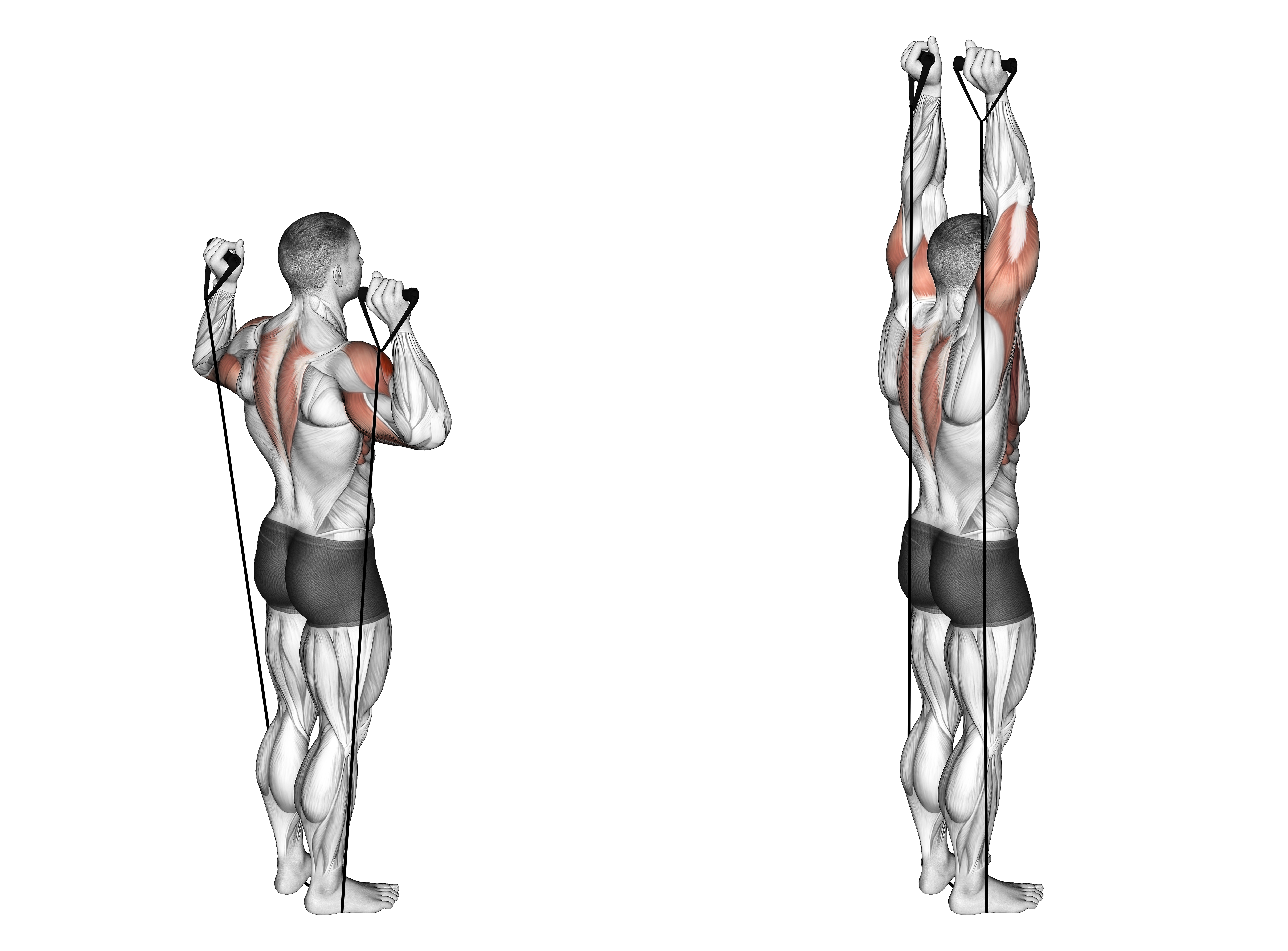 Band Behind Neck Shoulder Press