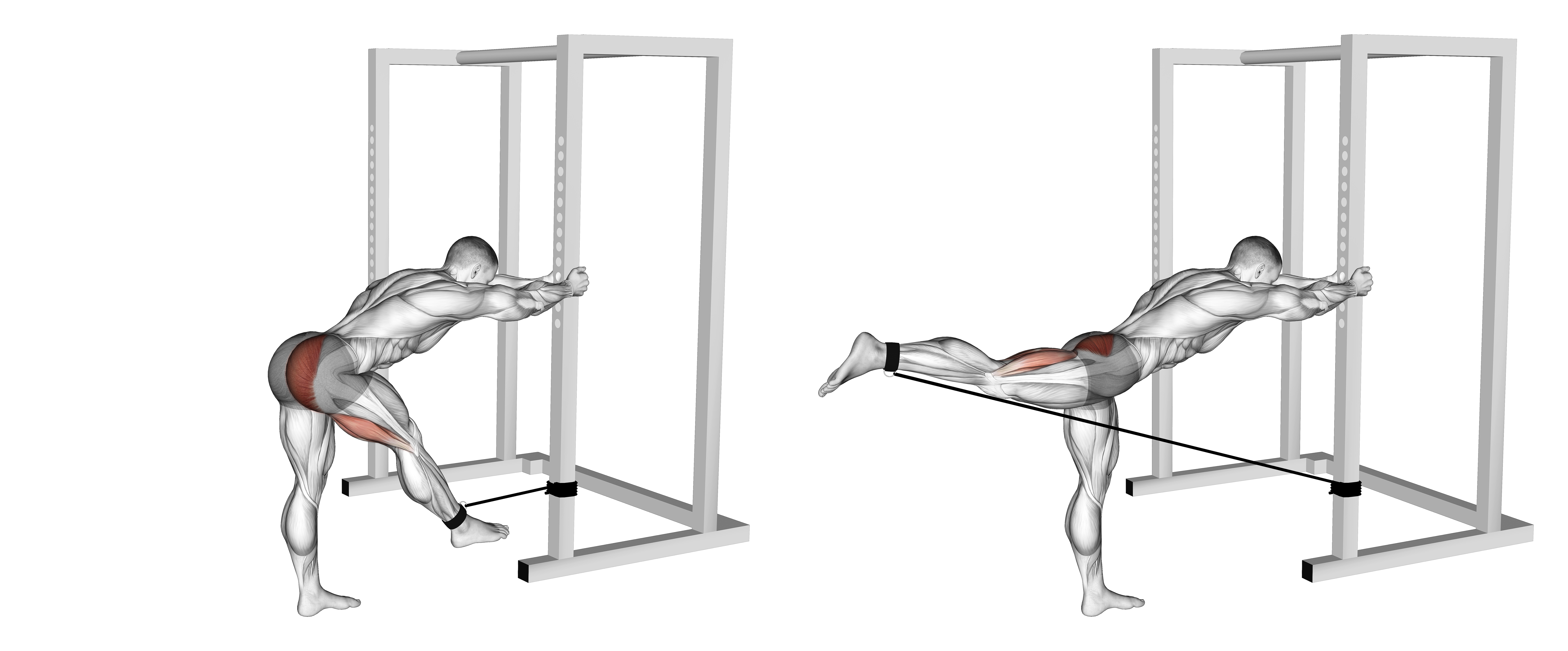 Band Bent Over Hip Extension
