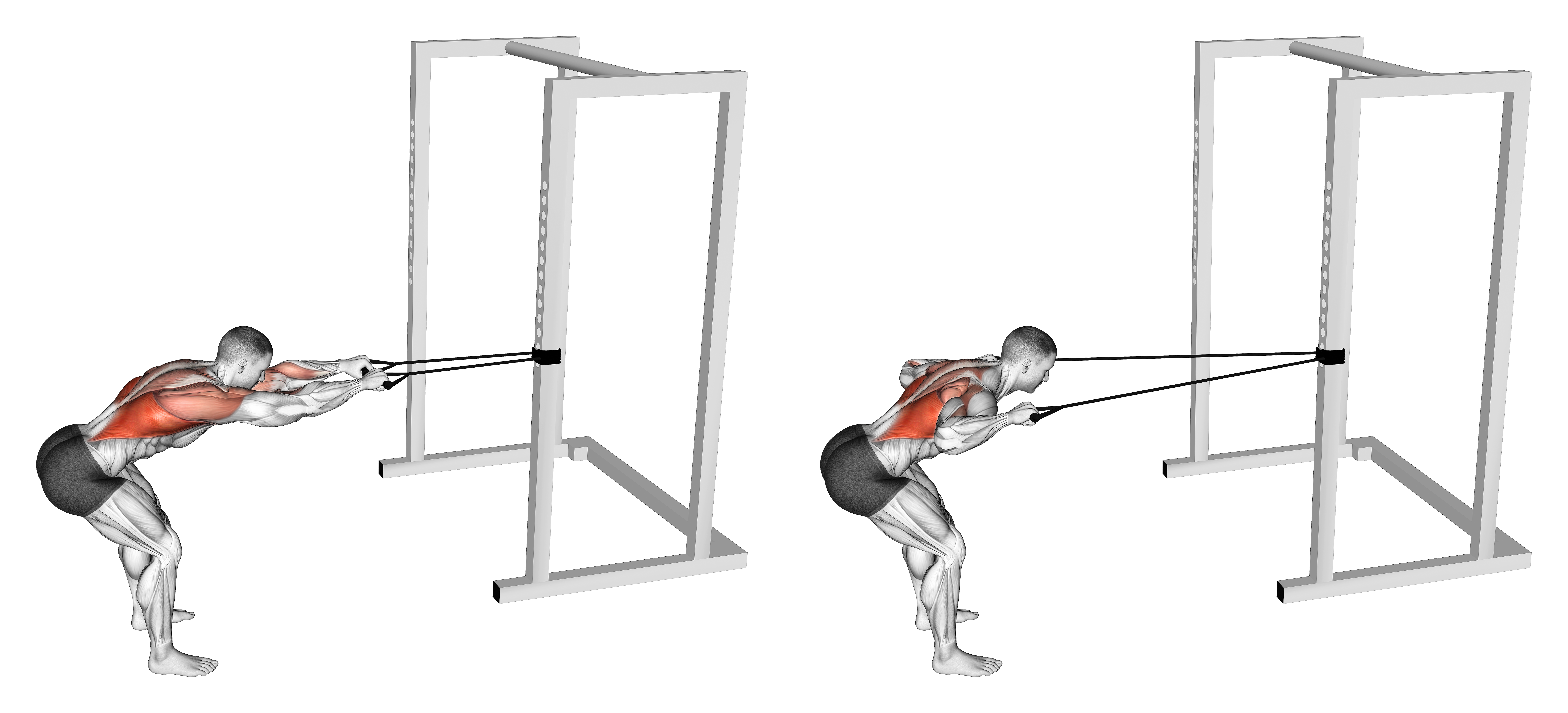 Band Bent Over Lat Pulldown
