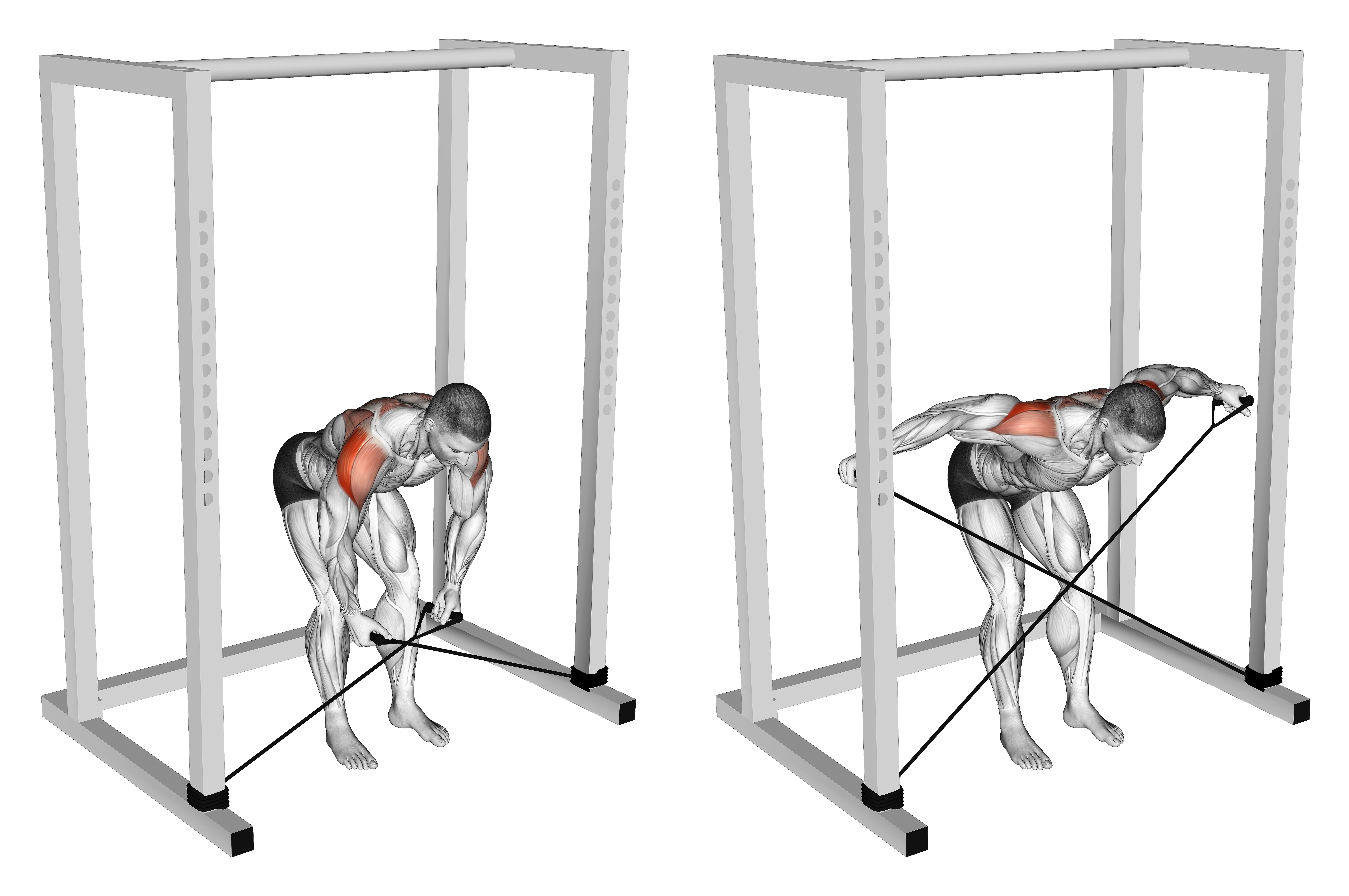 Band Bent Over Rear Lateral Raise