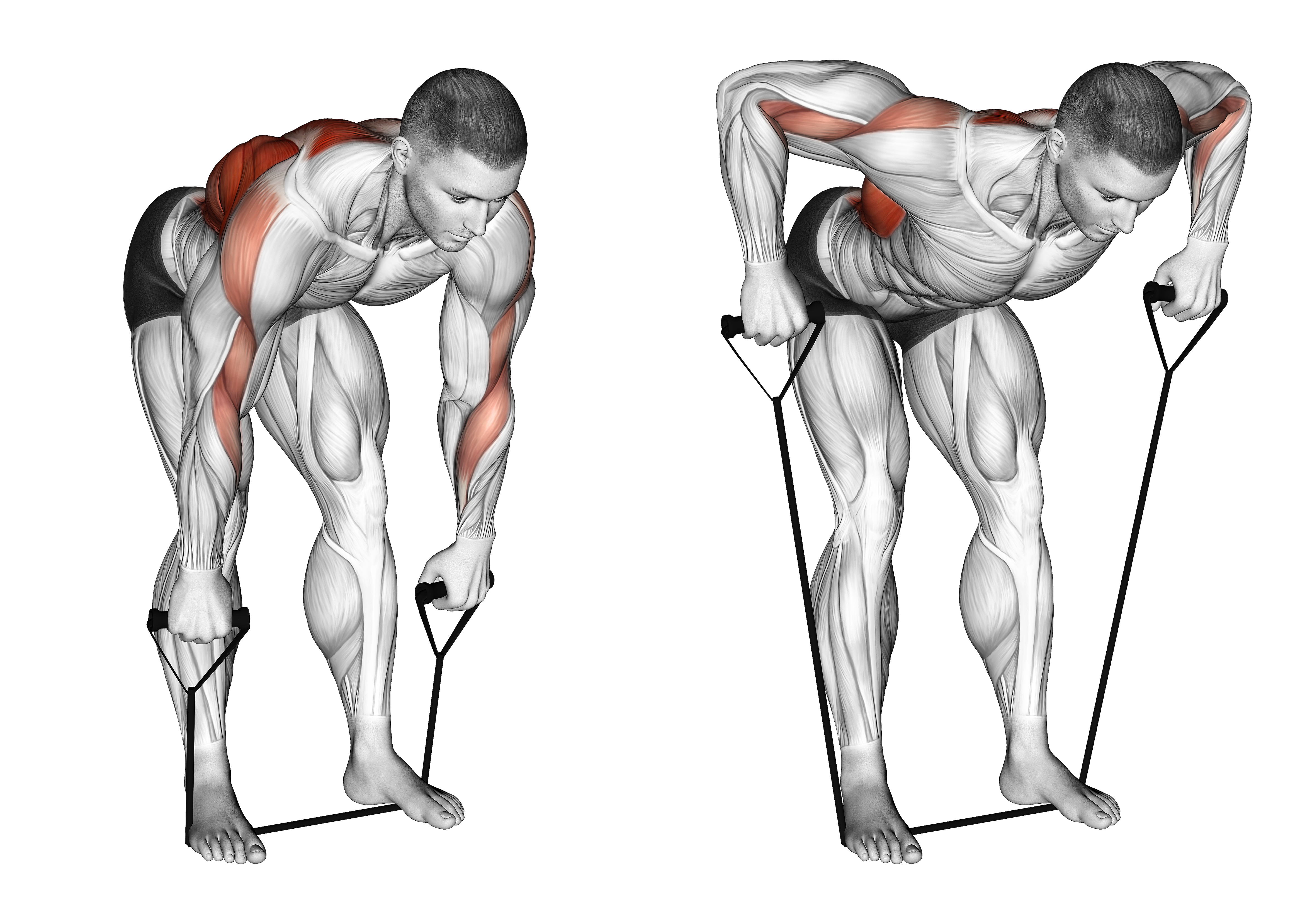 Band Bent Over Wide Grip Row