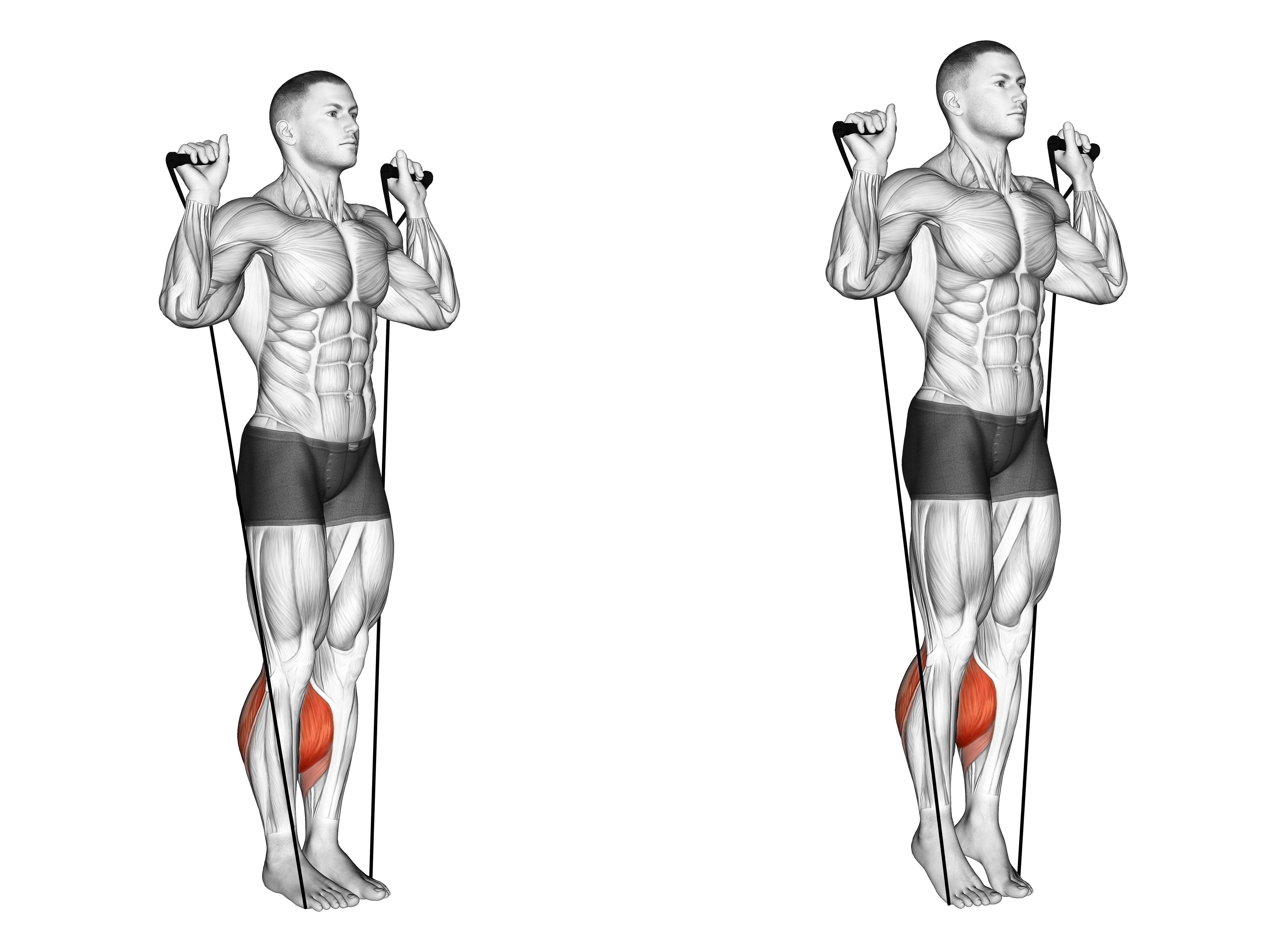 Band Calf Raise (version 3)