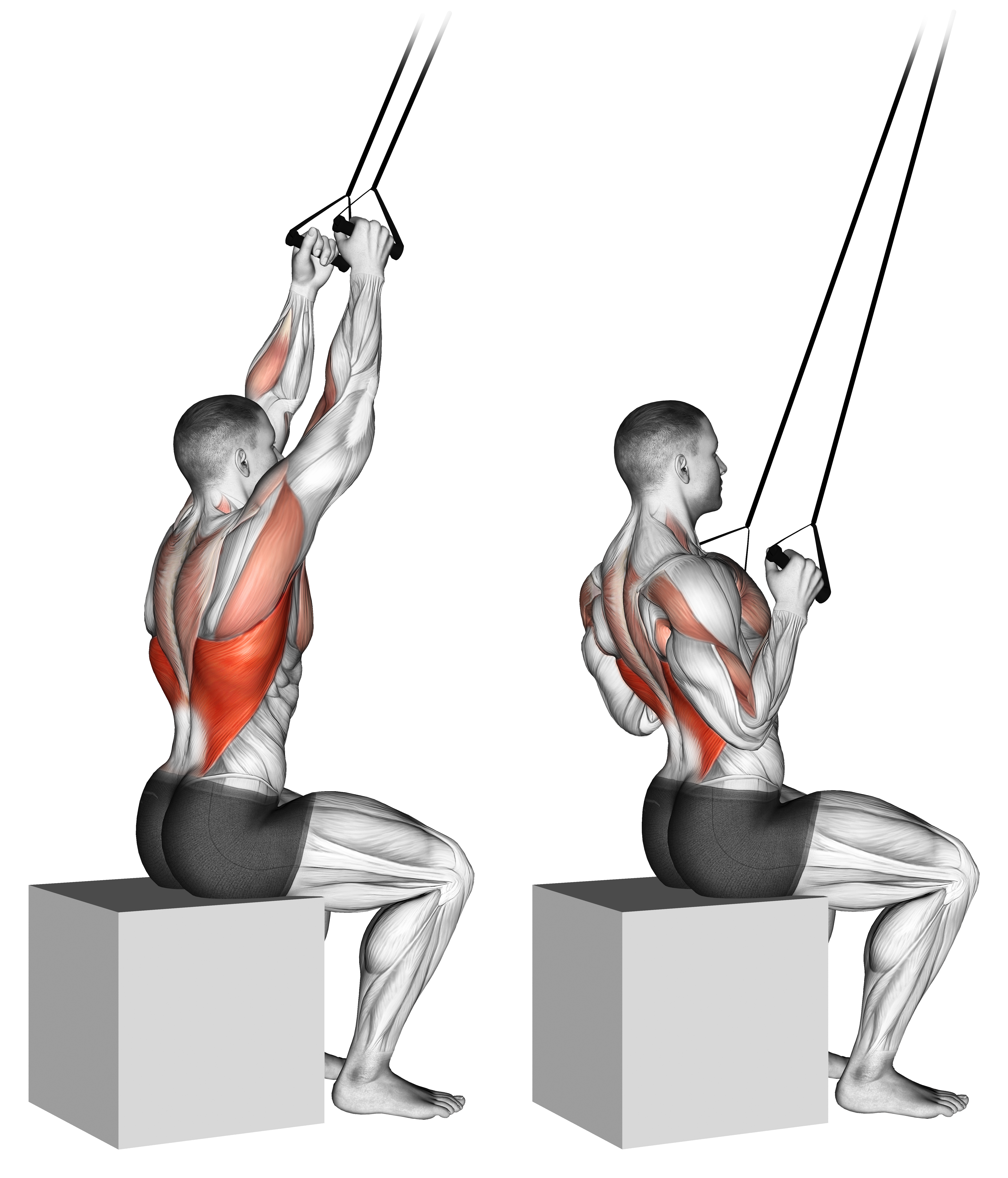 Band Close Grip Pulldown
