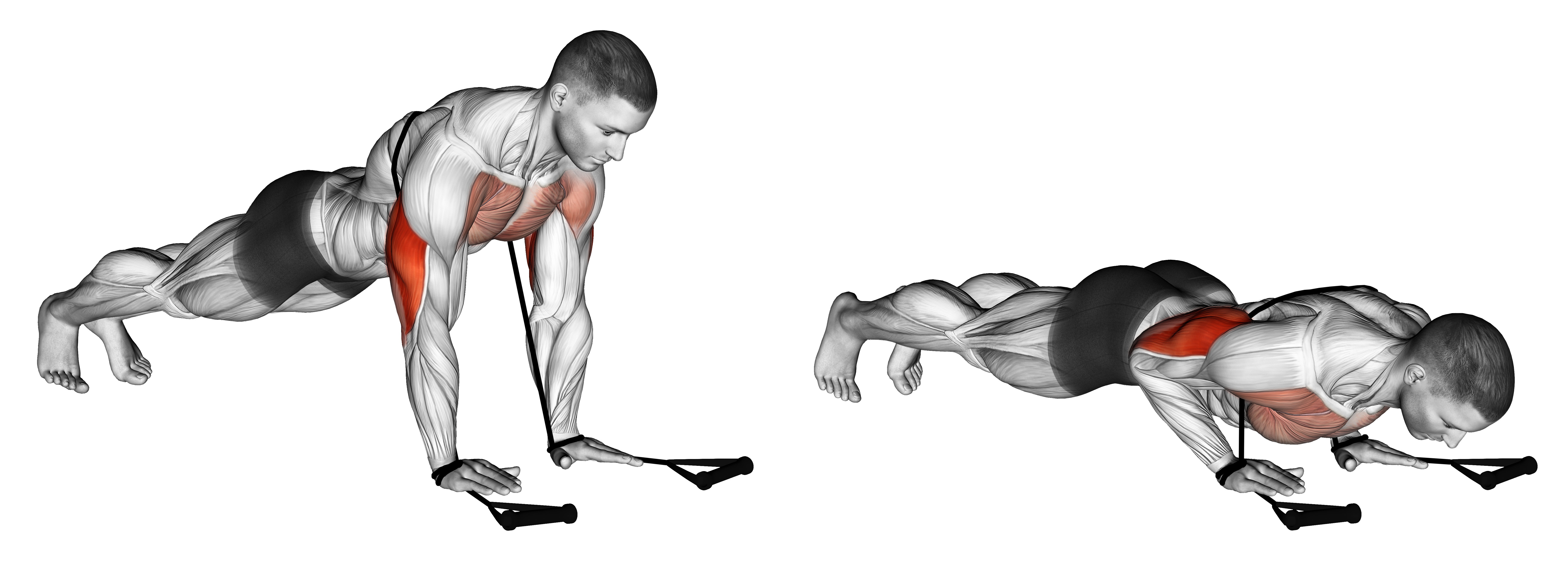 Band Close Grip Push Up