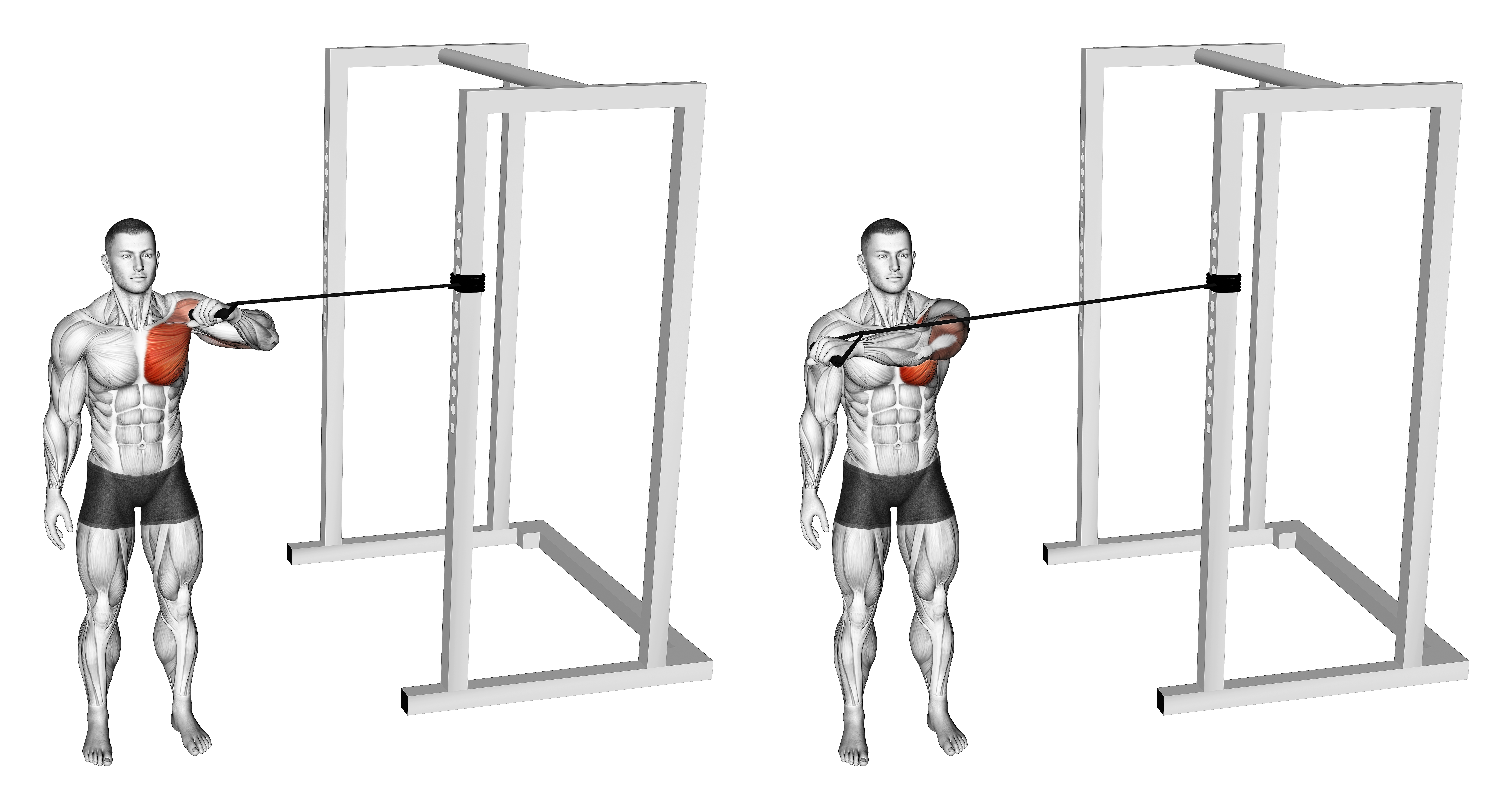 Band Cross Body One Arm Chest Press
