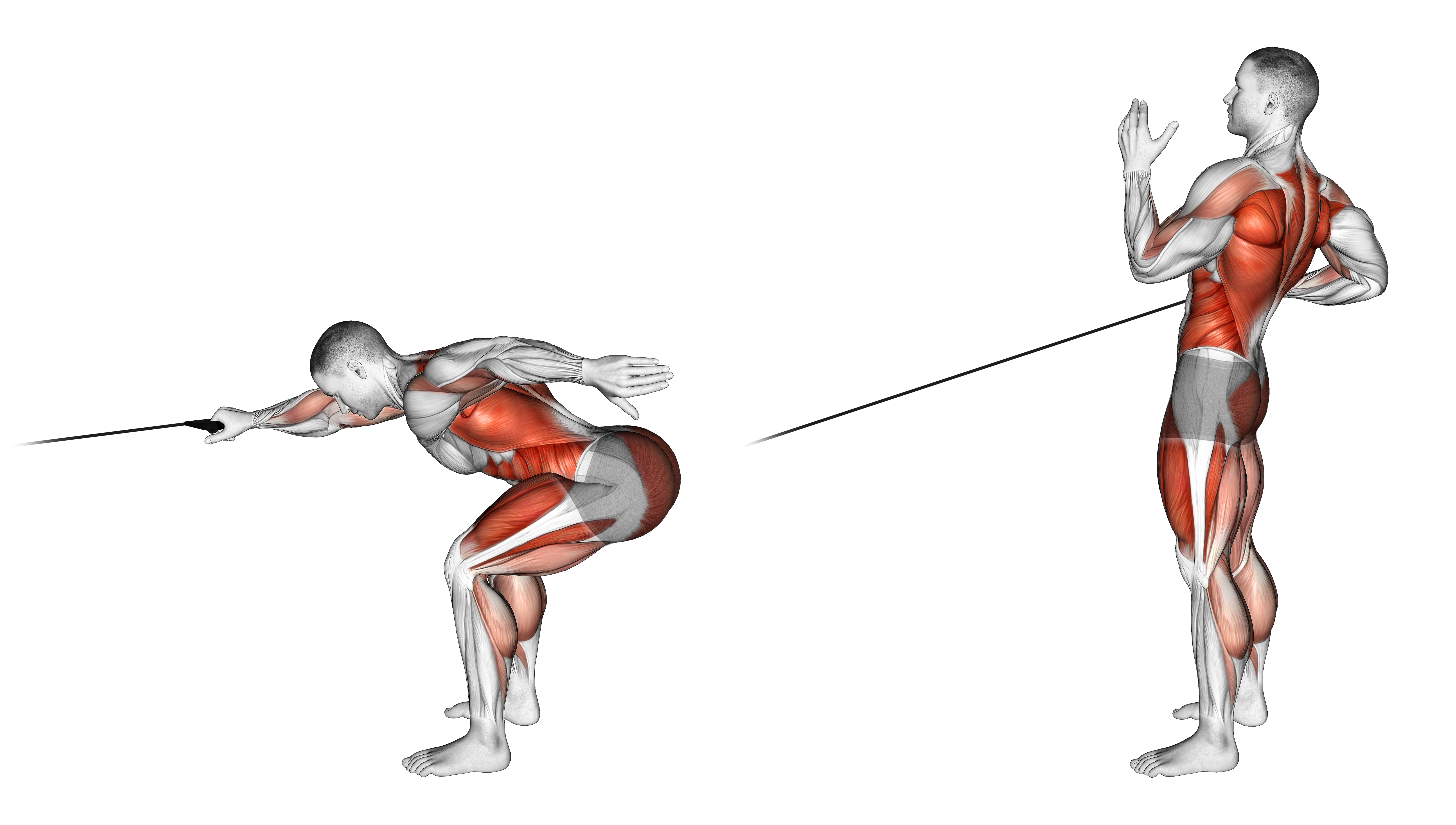 Band Deadlift With Single Arm Row