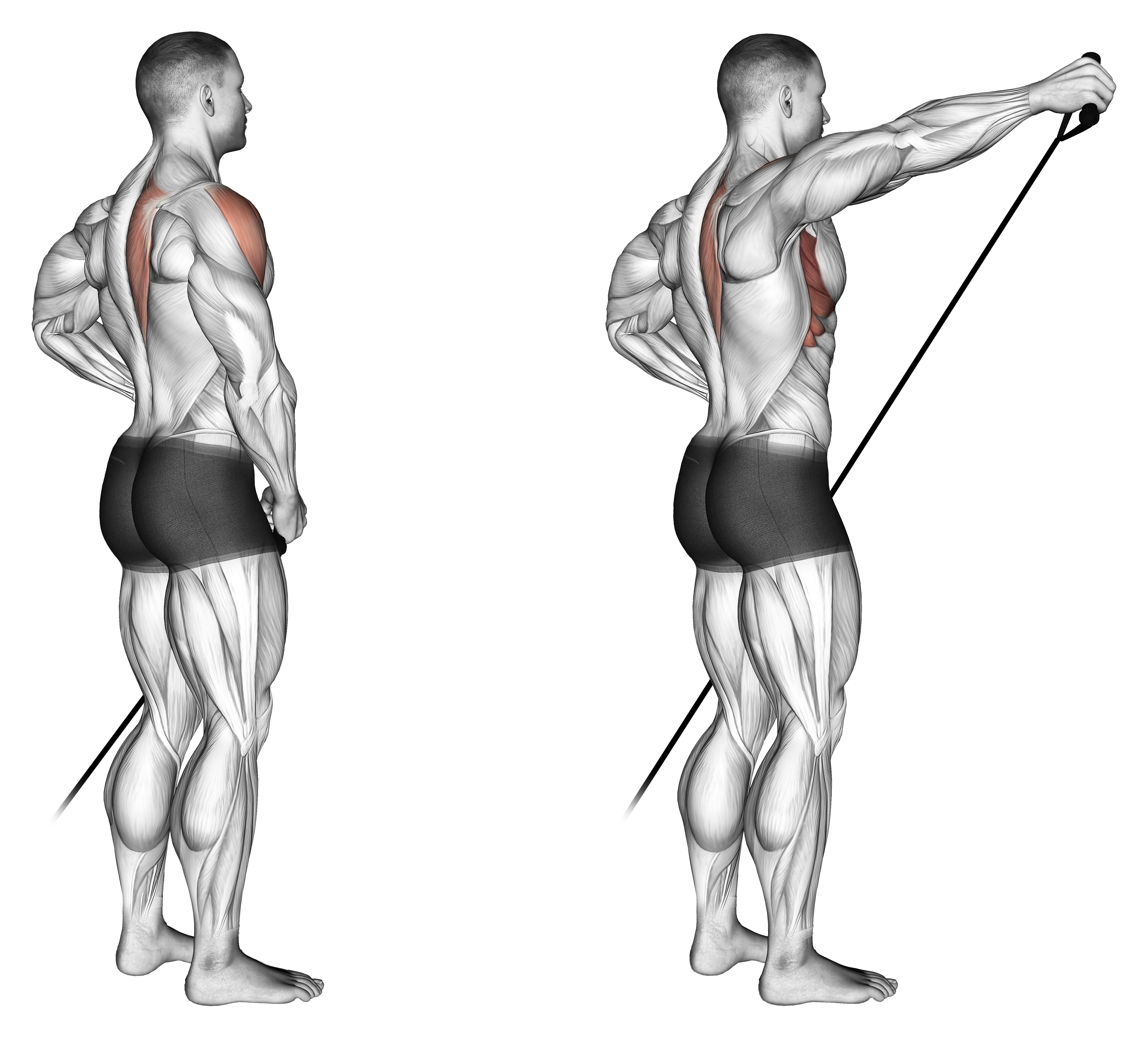Band Front Lateral Raise