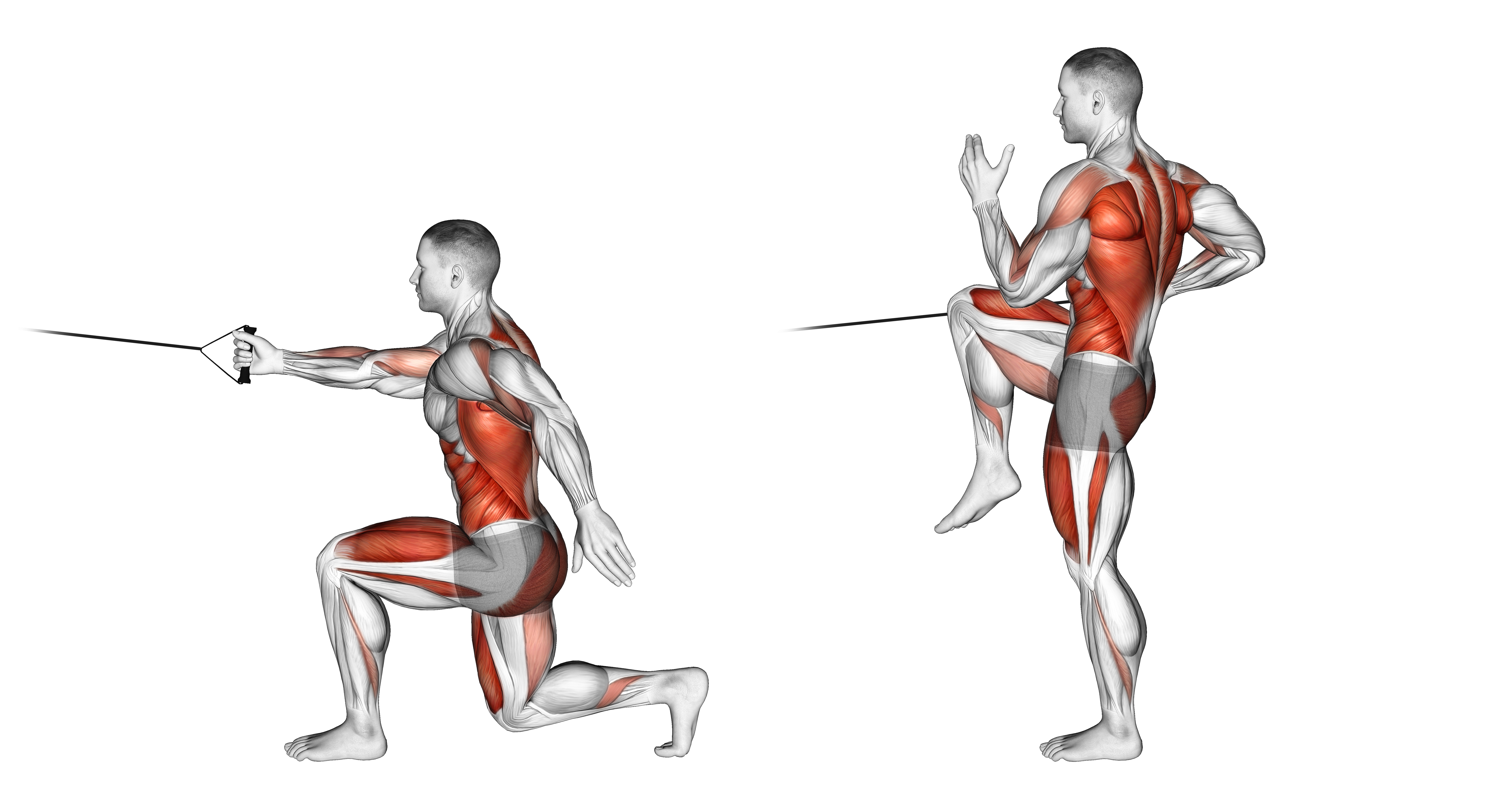 High Knee Lunge With Single Arm Row