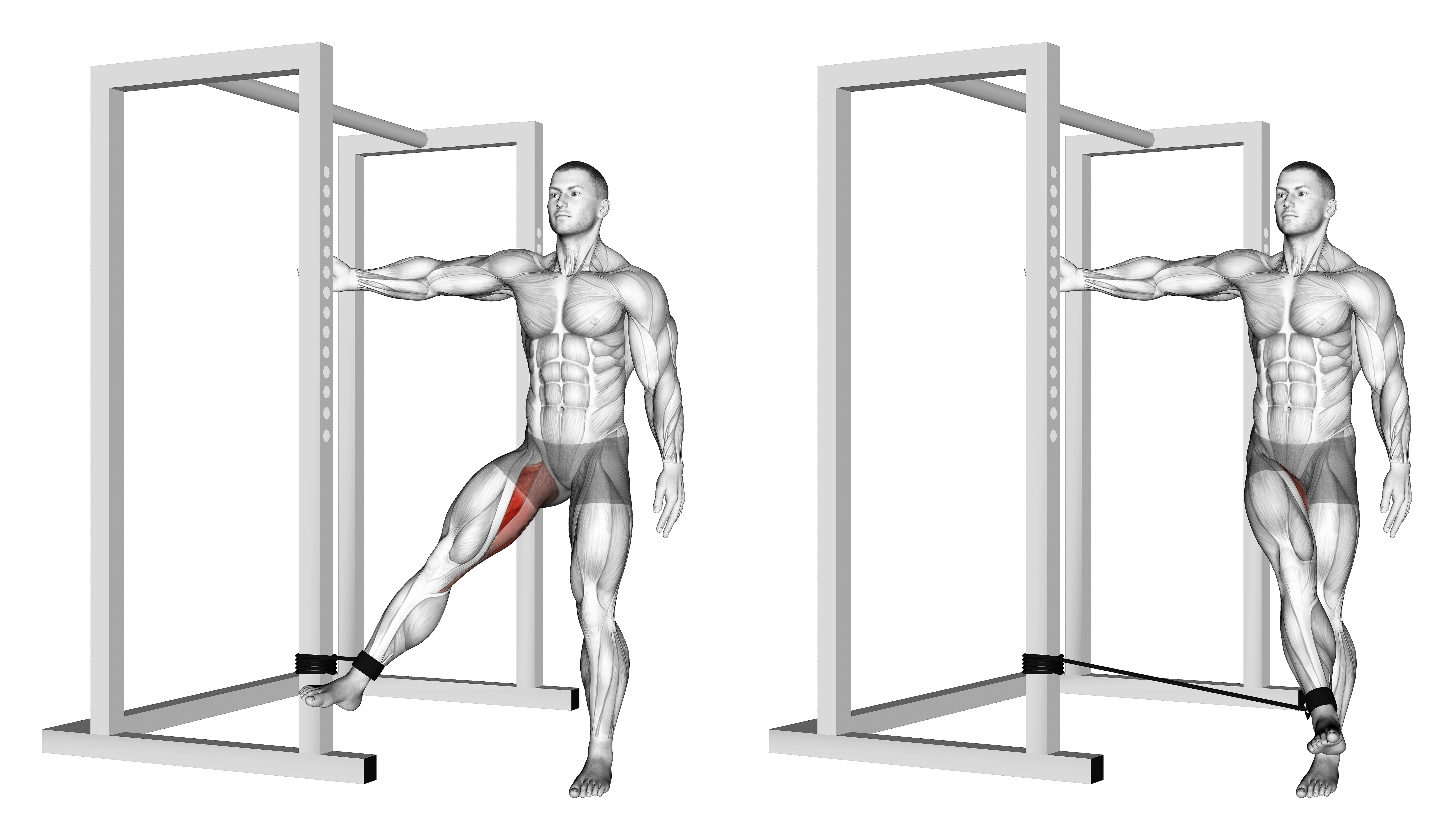 Band Hip Adduction