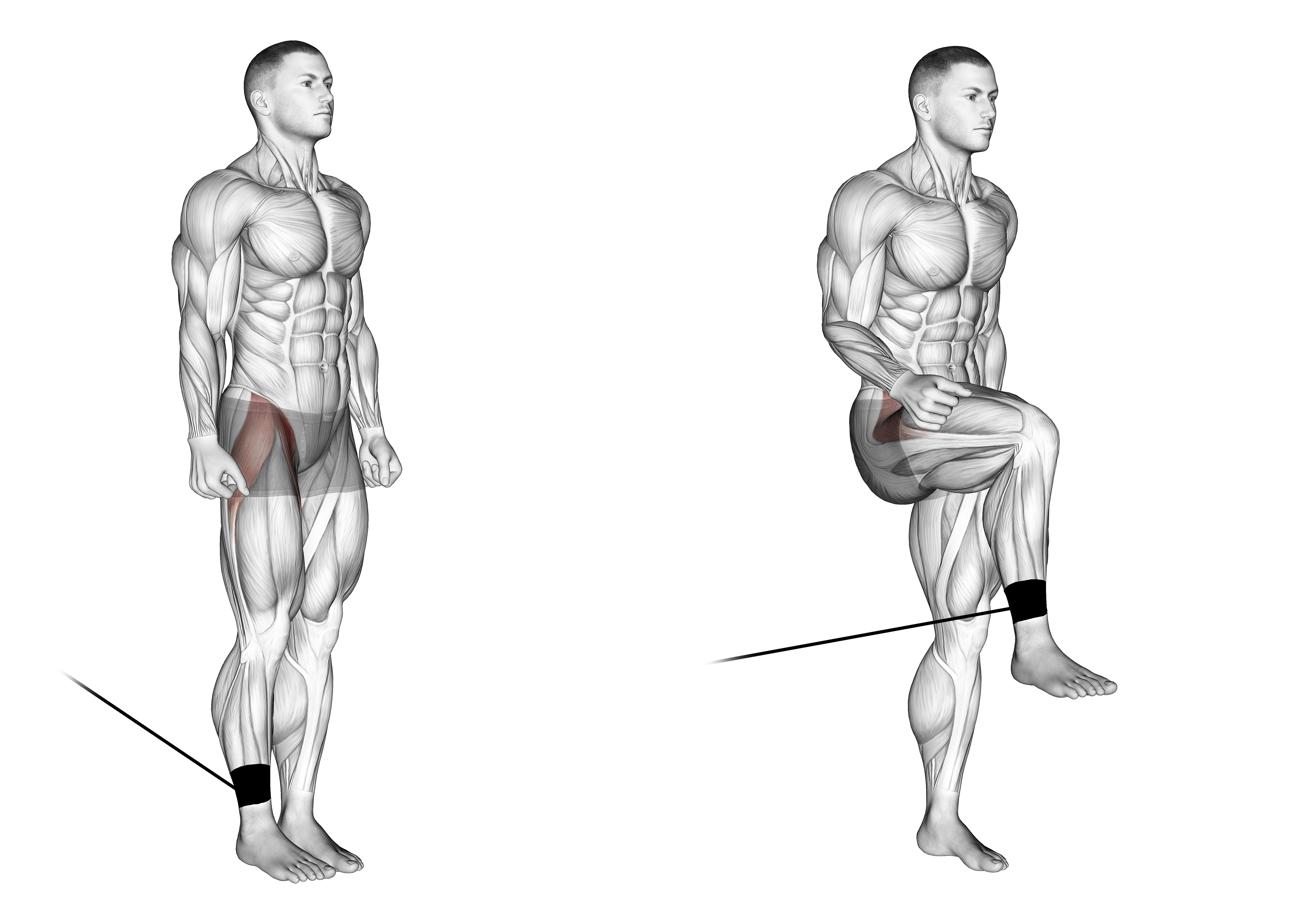 Band Hip Flexion