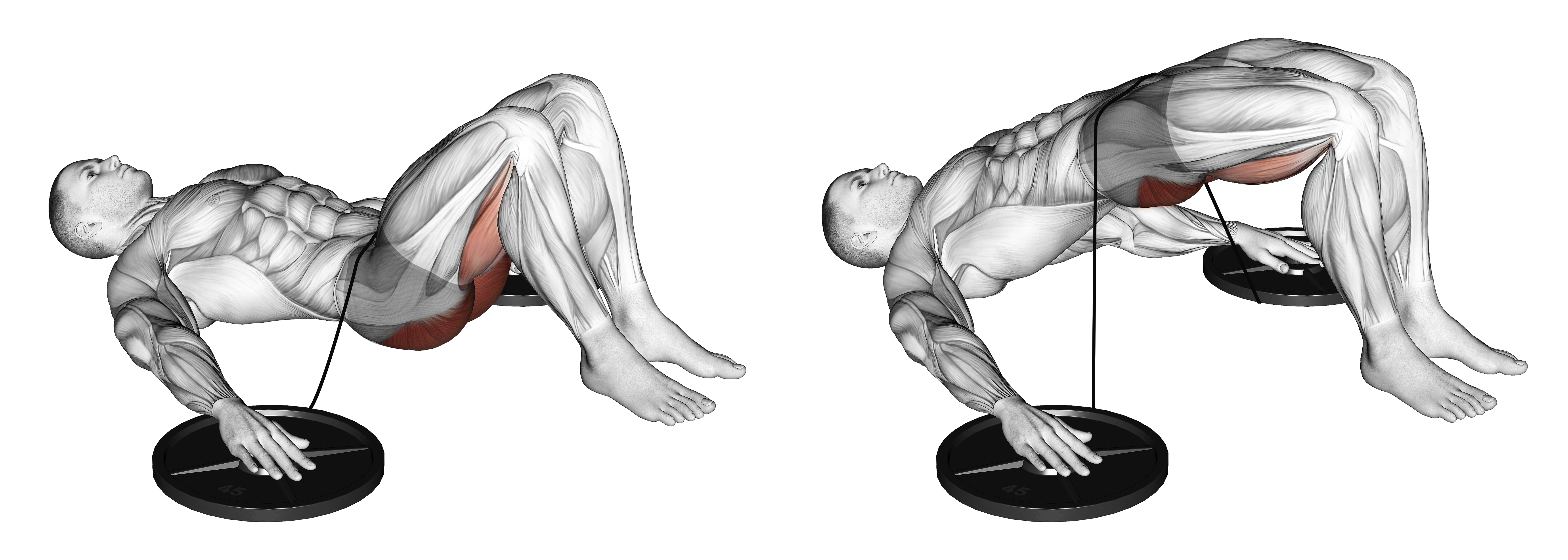 Band Hip Lift
