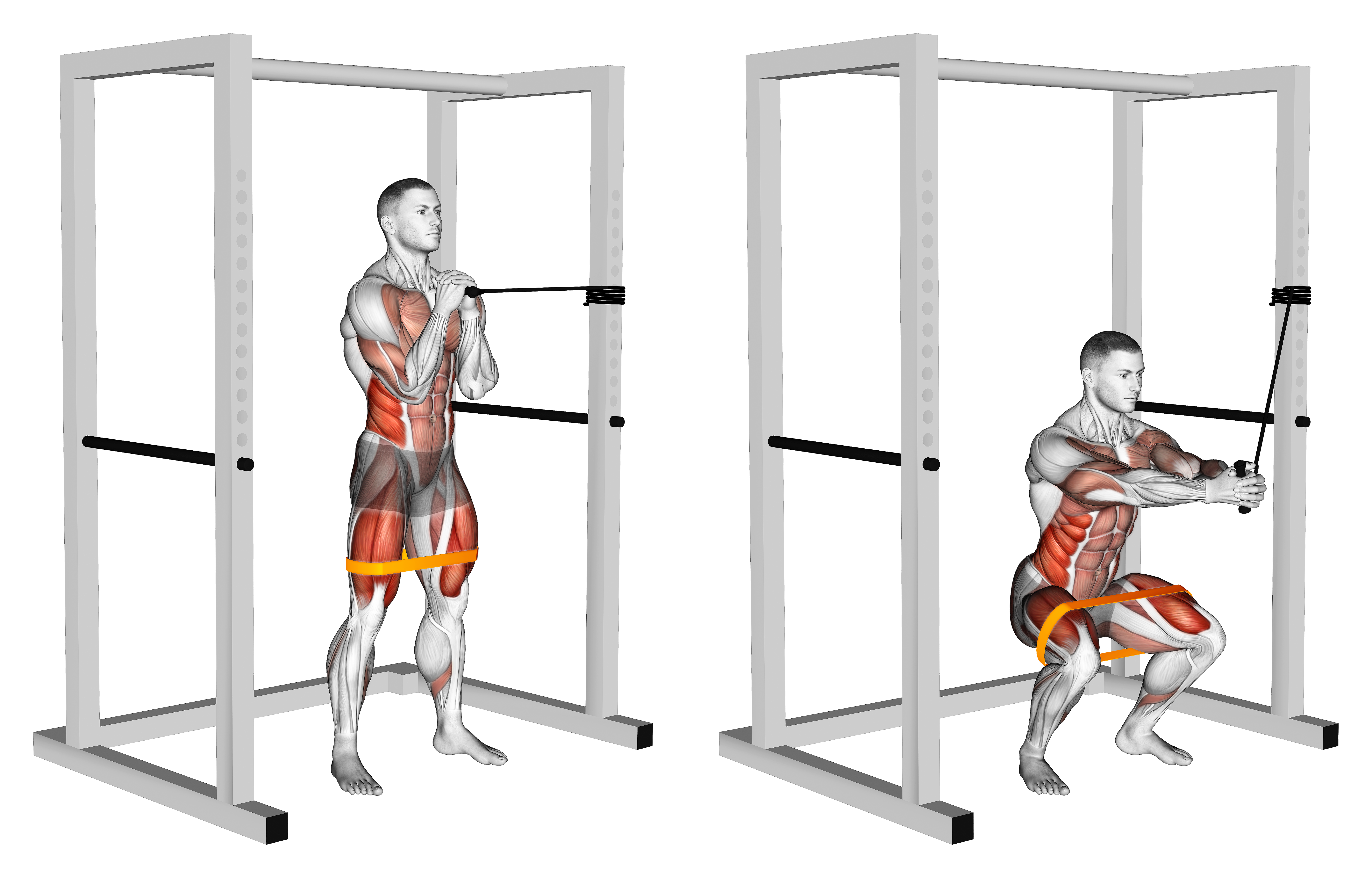 Band Horizontal Pallof Press With Resistance Band Squat