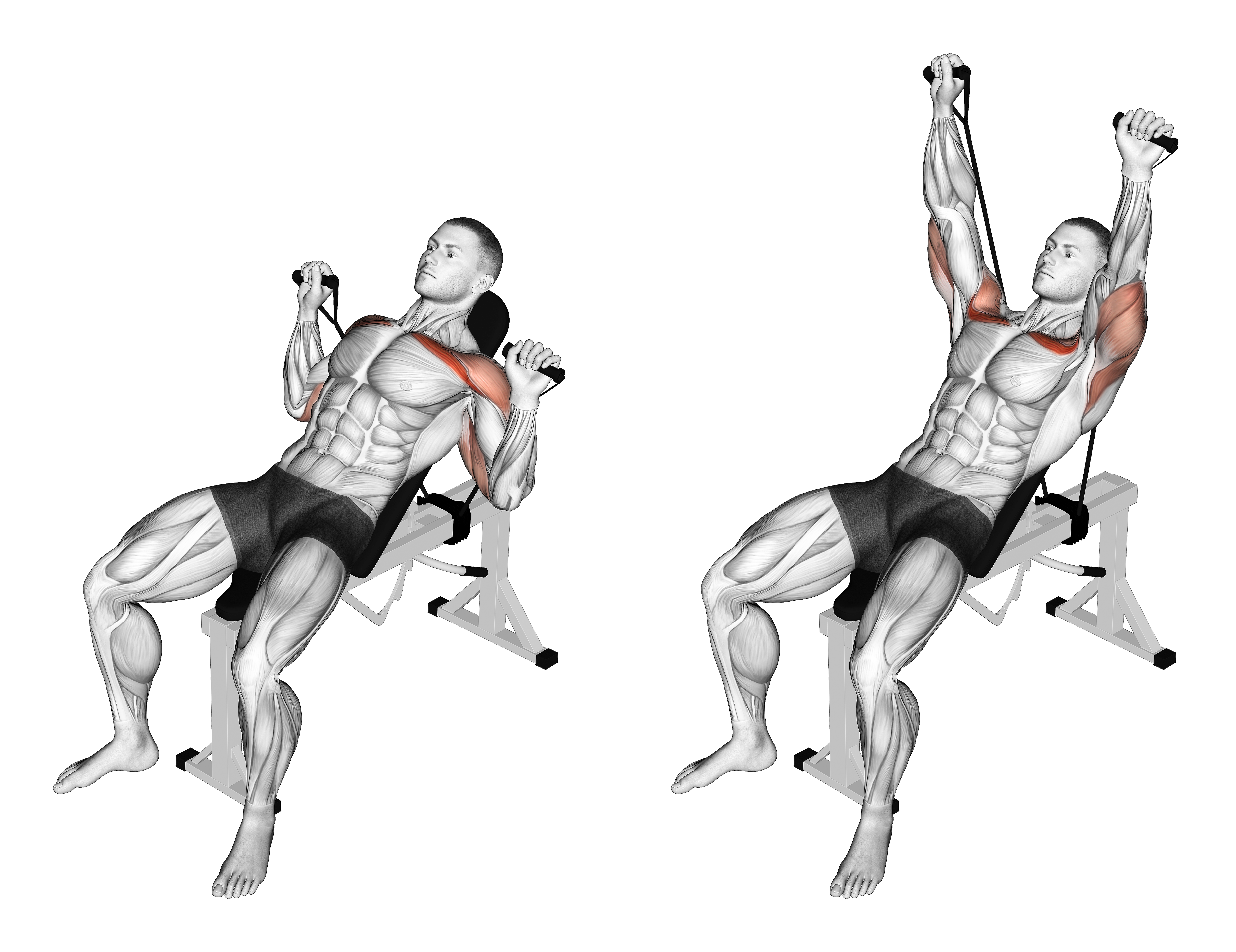 Band Incline Bench Press