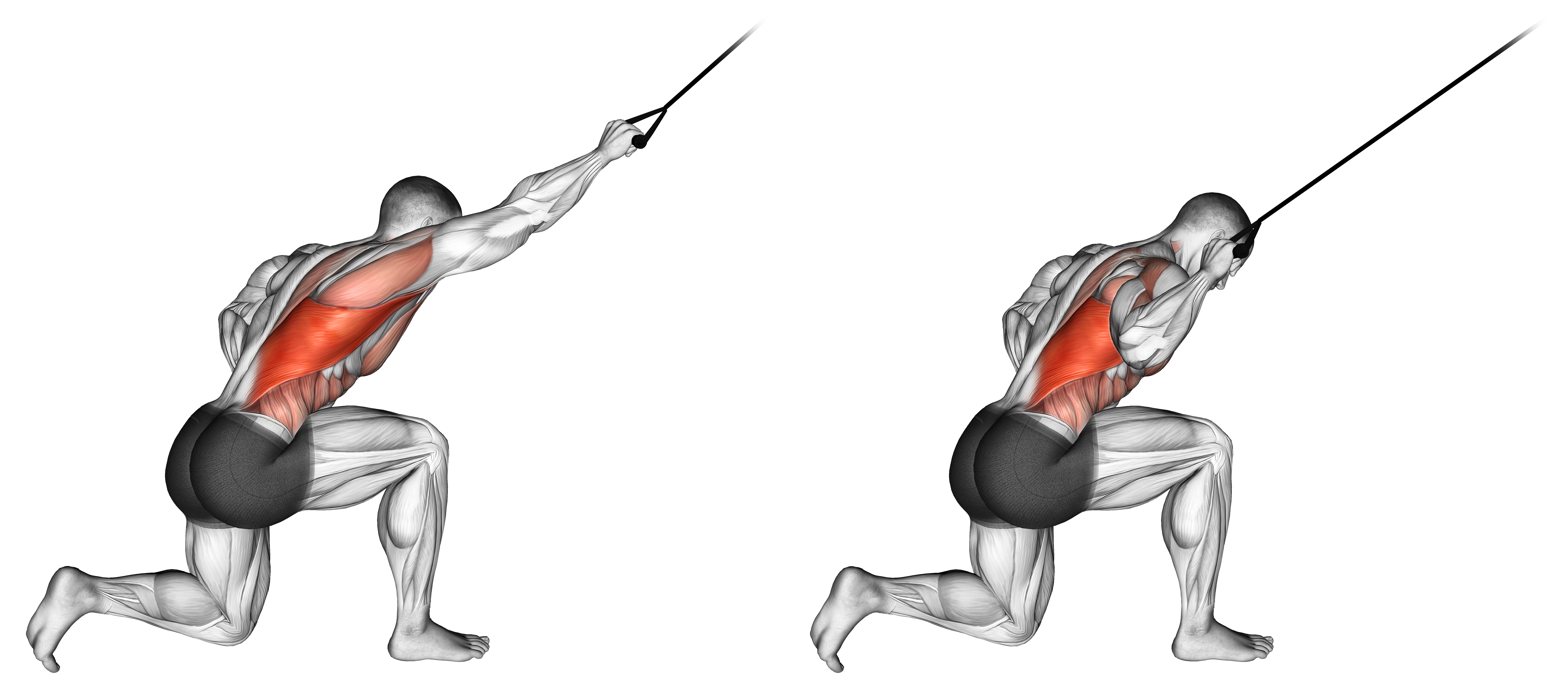Band Kneeling One Arm Pulldown