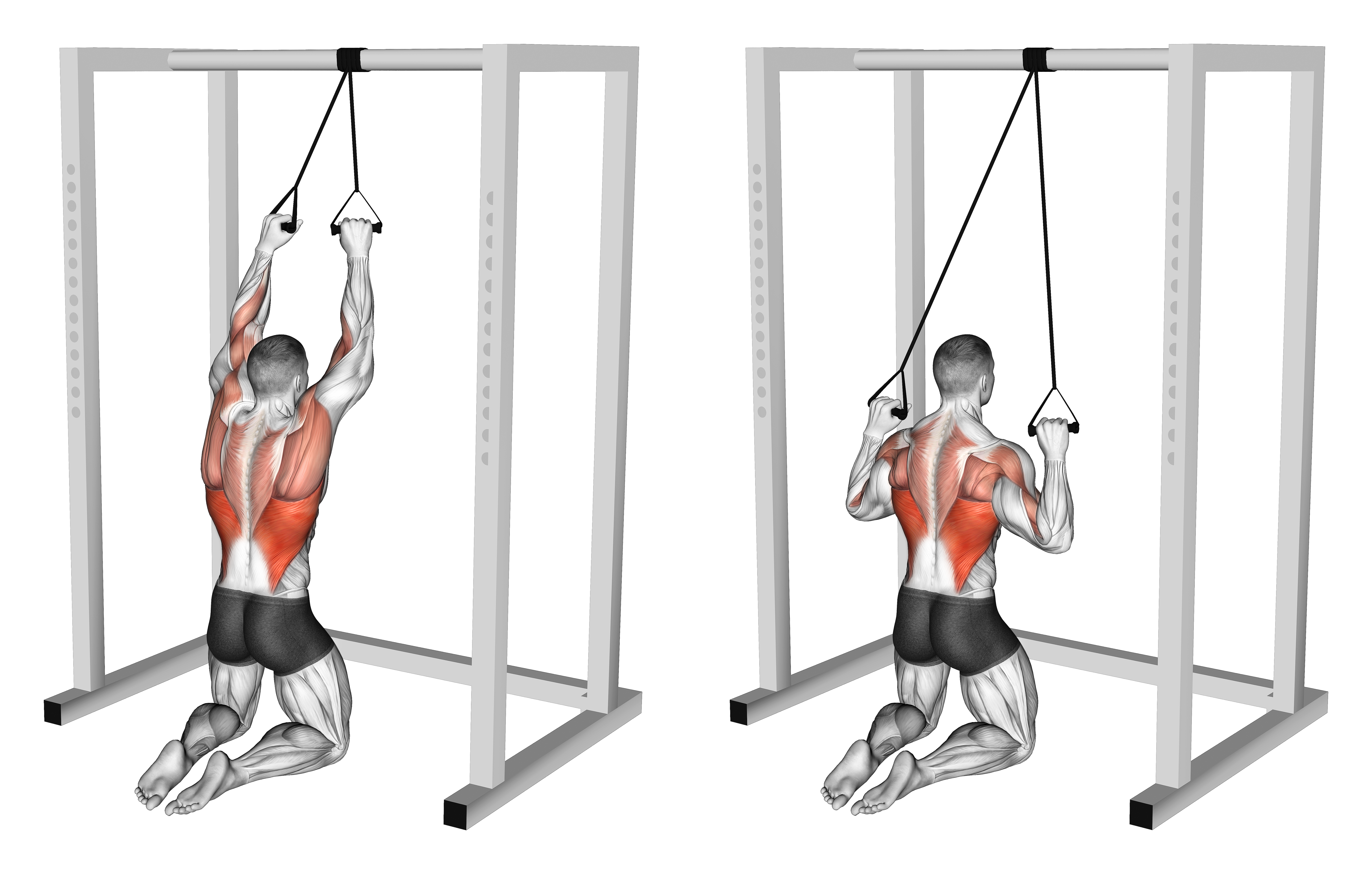Band Knelling Lat Pulldown