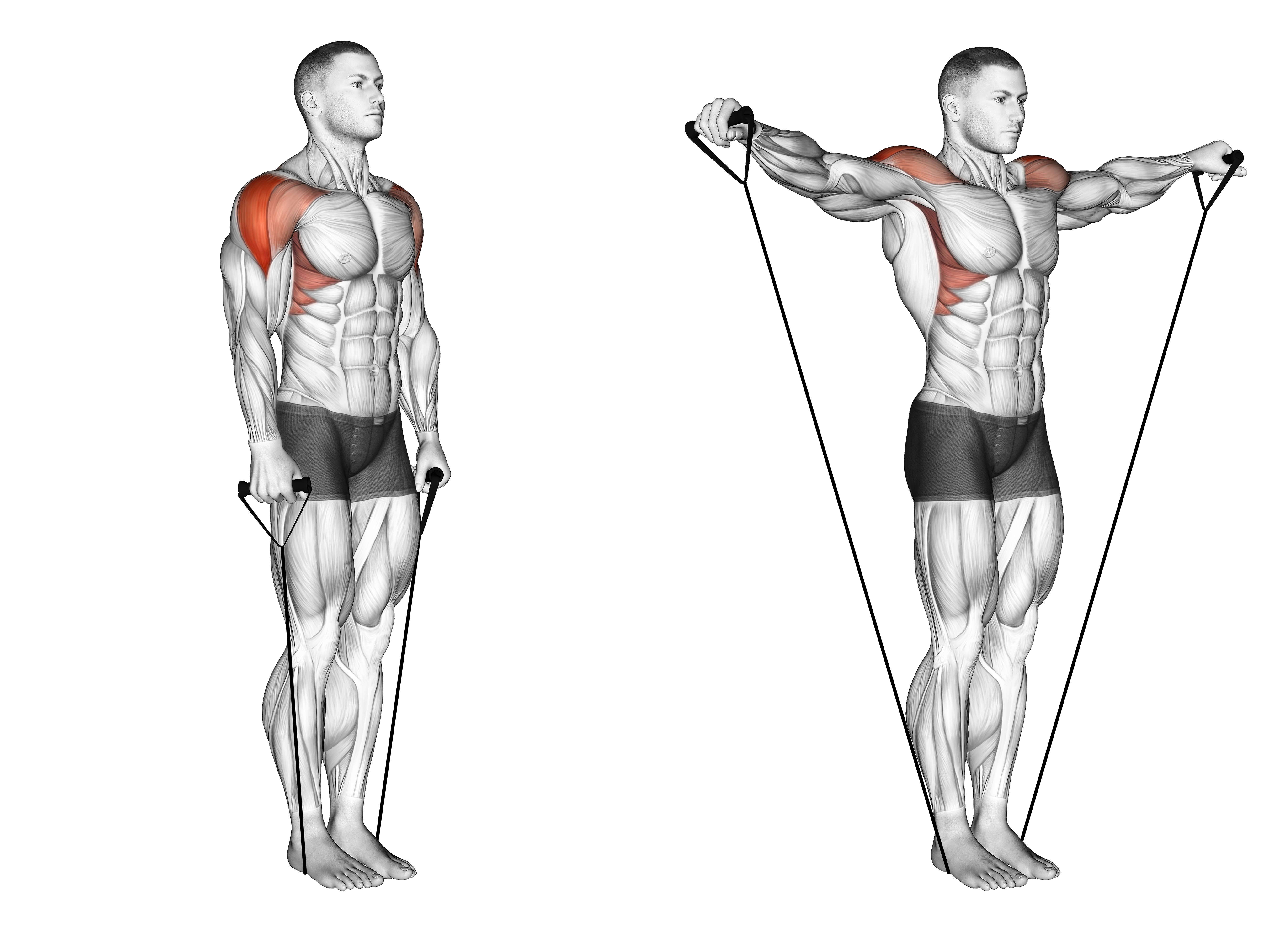 Band Lateral Raise (version 2)